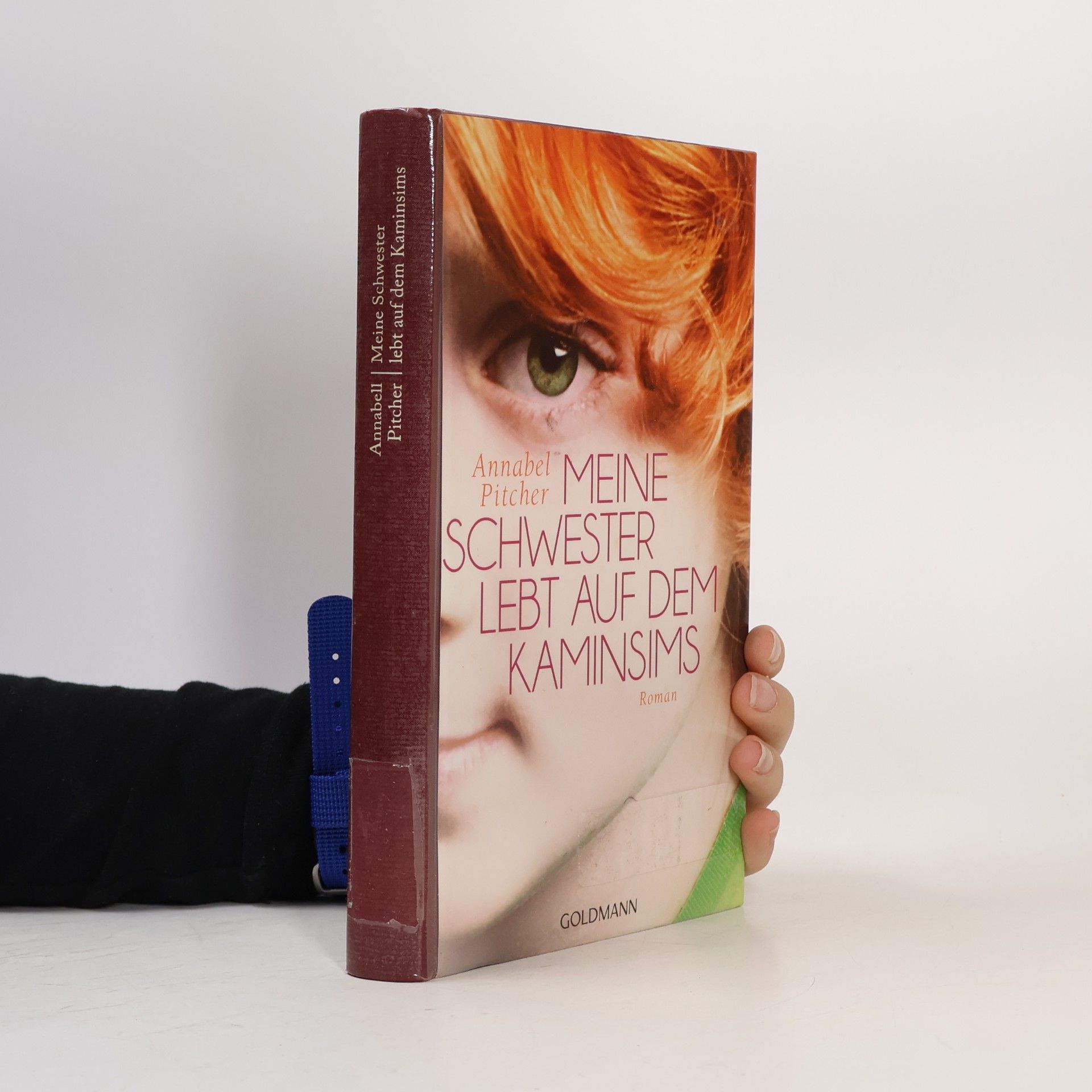 Annabel Pitcher Meine Schwester lebt auf dem Kaminsims
