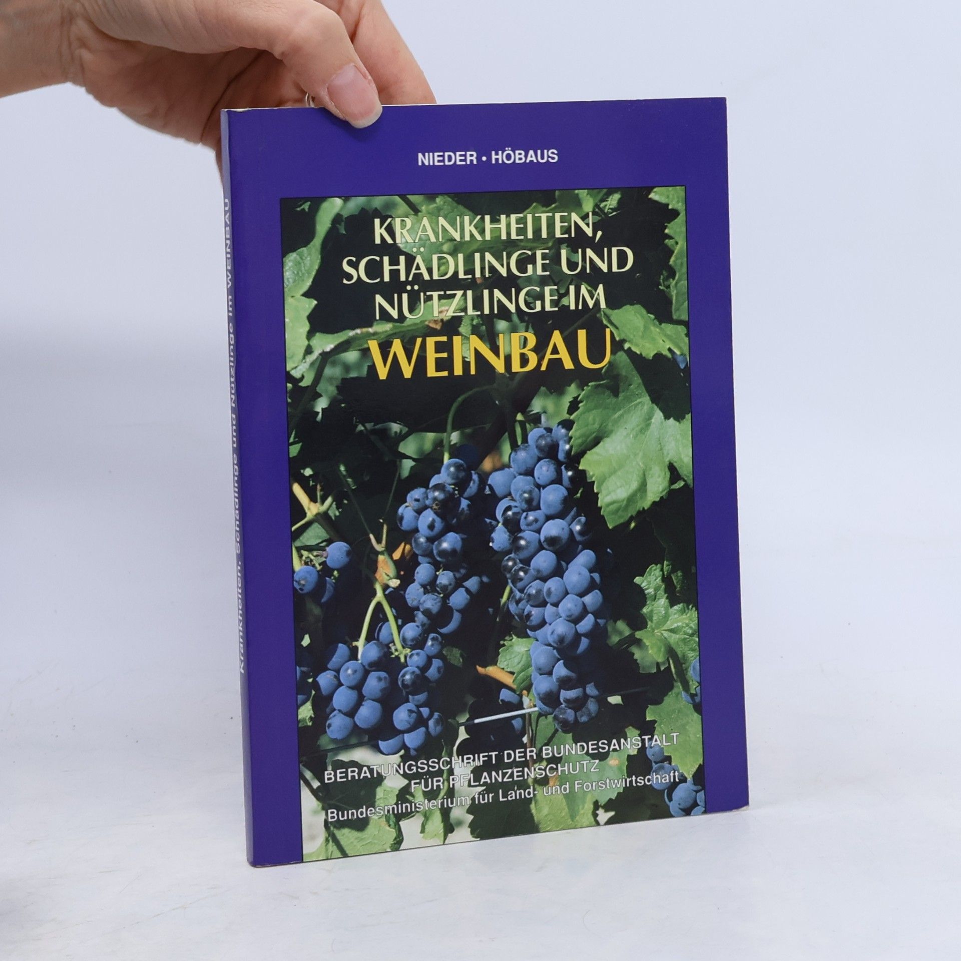 Pflanzenschutz: Krankheiten, Schädlinge und Nützlinge im Weinbau