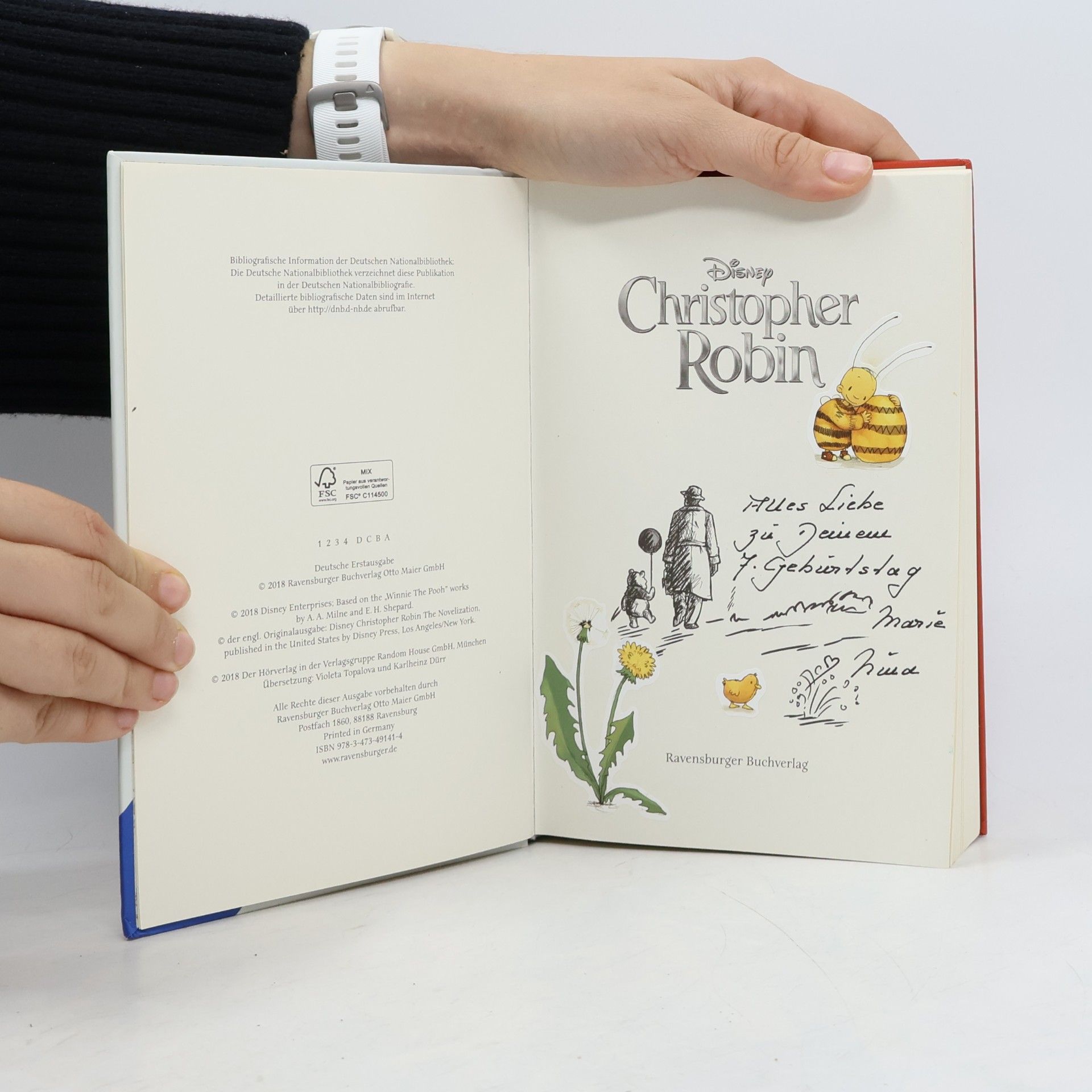 Disney Christopher Robin