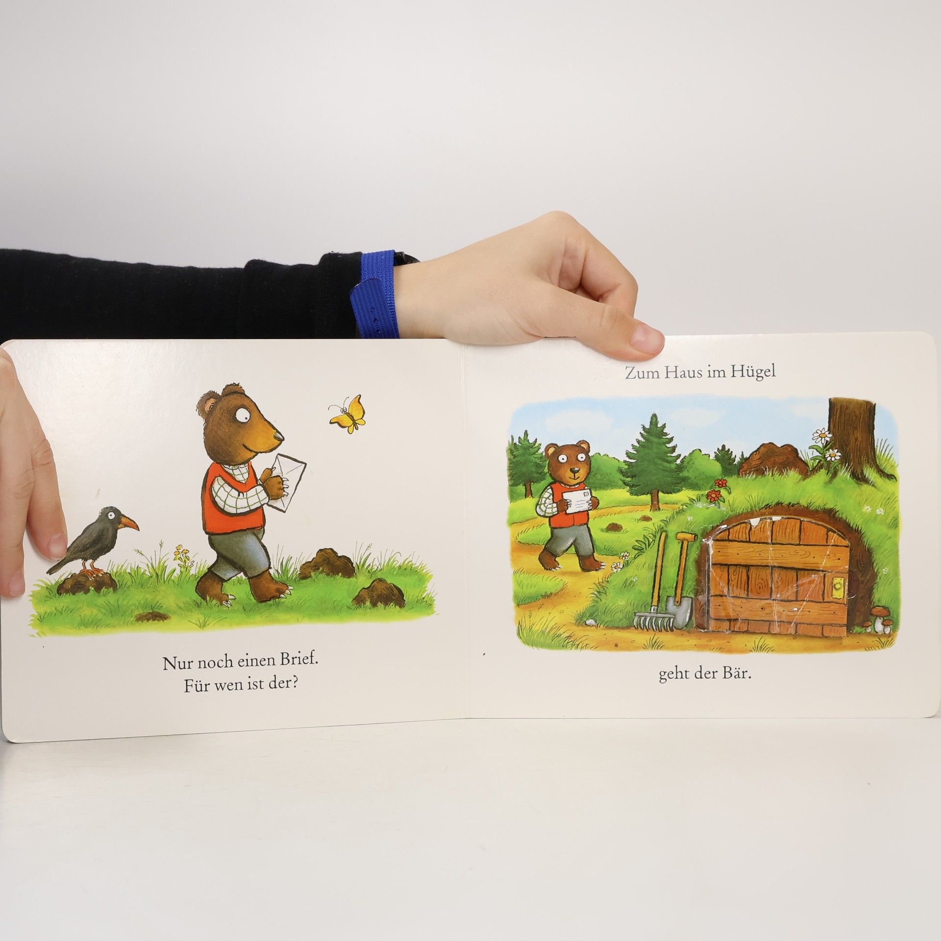 Axel Scheffler Der Bär schreibt heute Briefe
