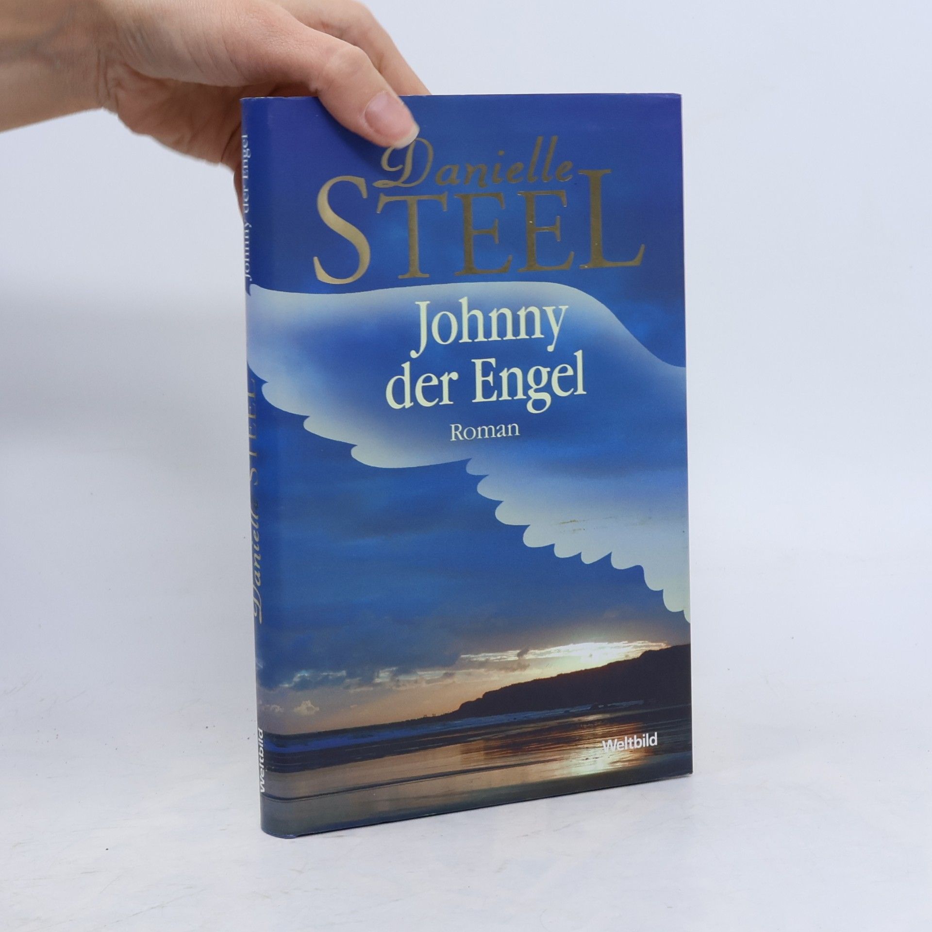 Danielle Steel Johnny der Engel