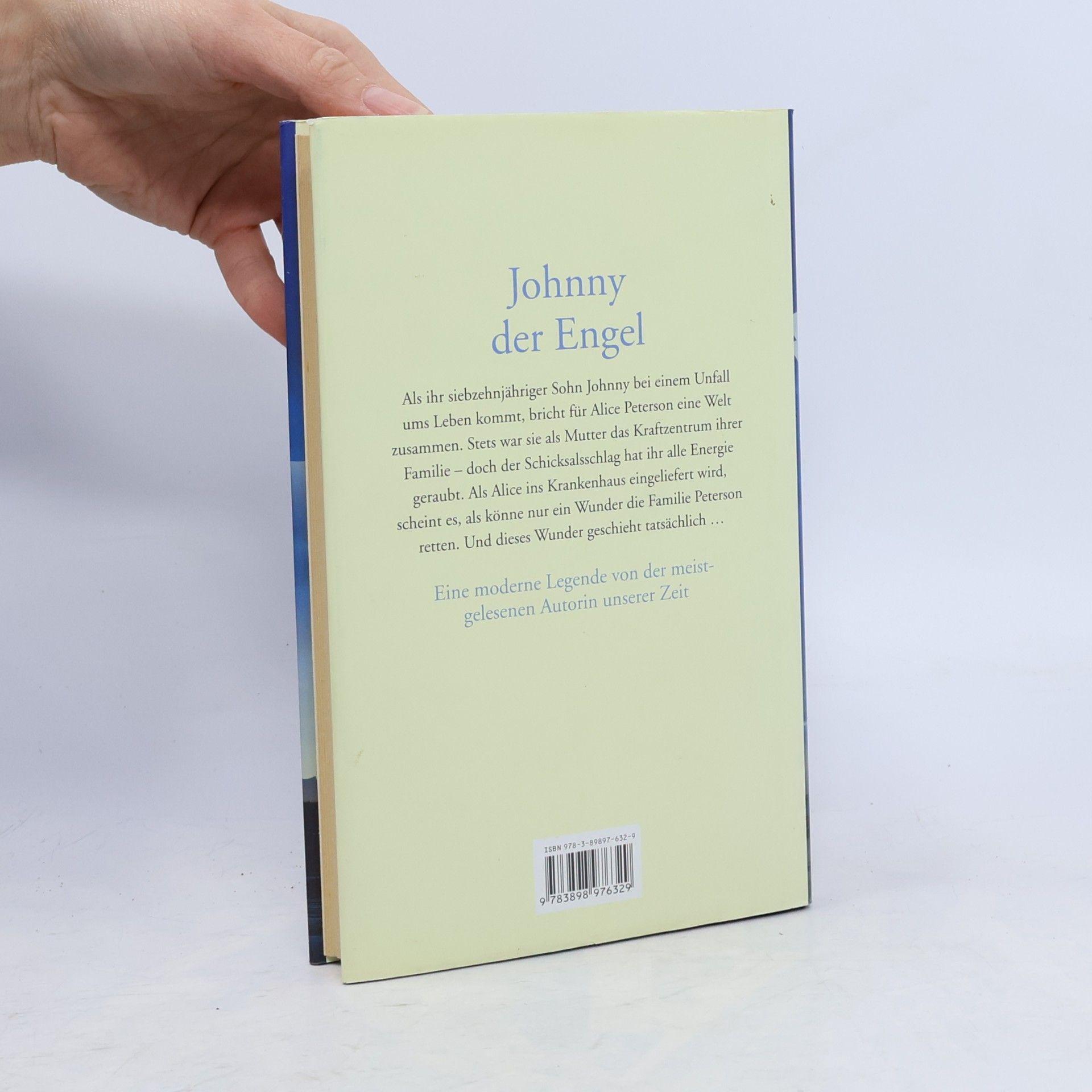 Danielle Steel Johnny der Engel