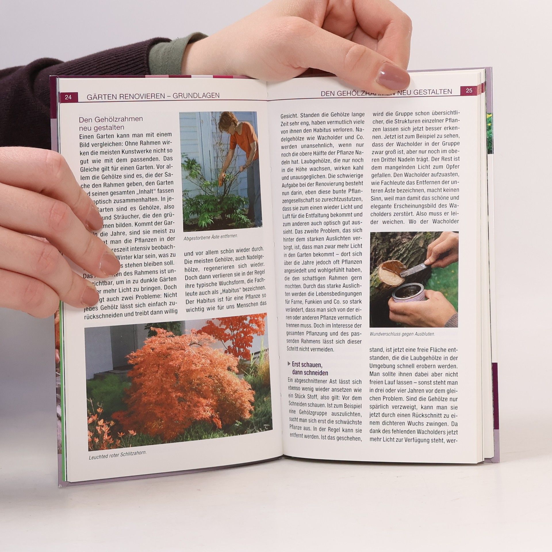 Autorenkollektiv Gärten renovieren praktische Tipps und Ideen