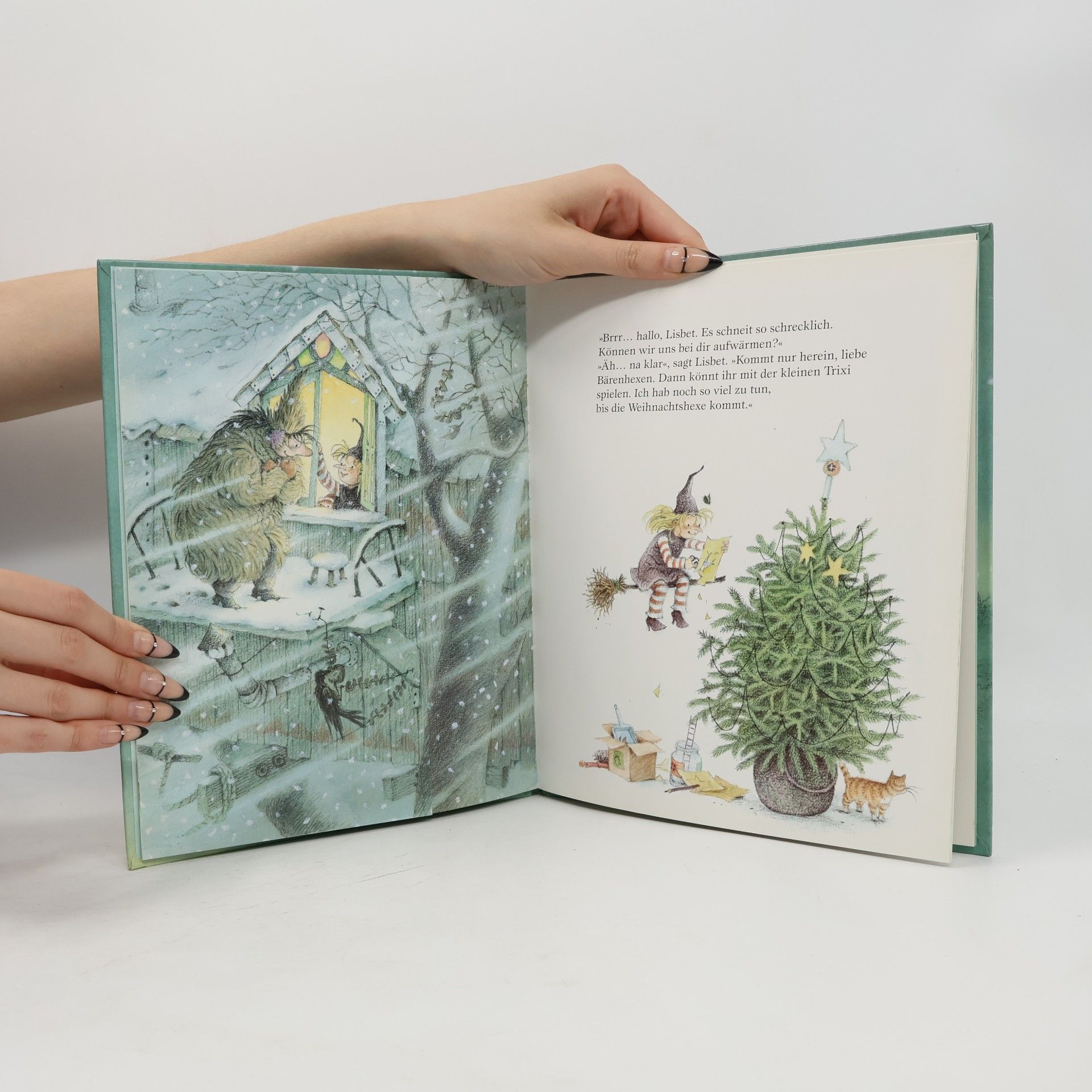Lieve Baeten Die kleine Hexe feiert Weihnachten