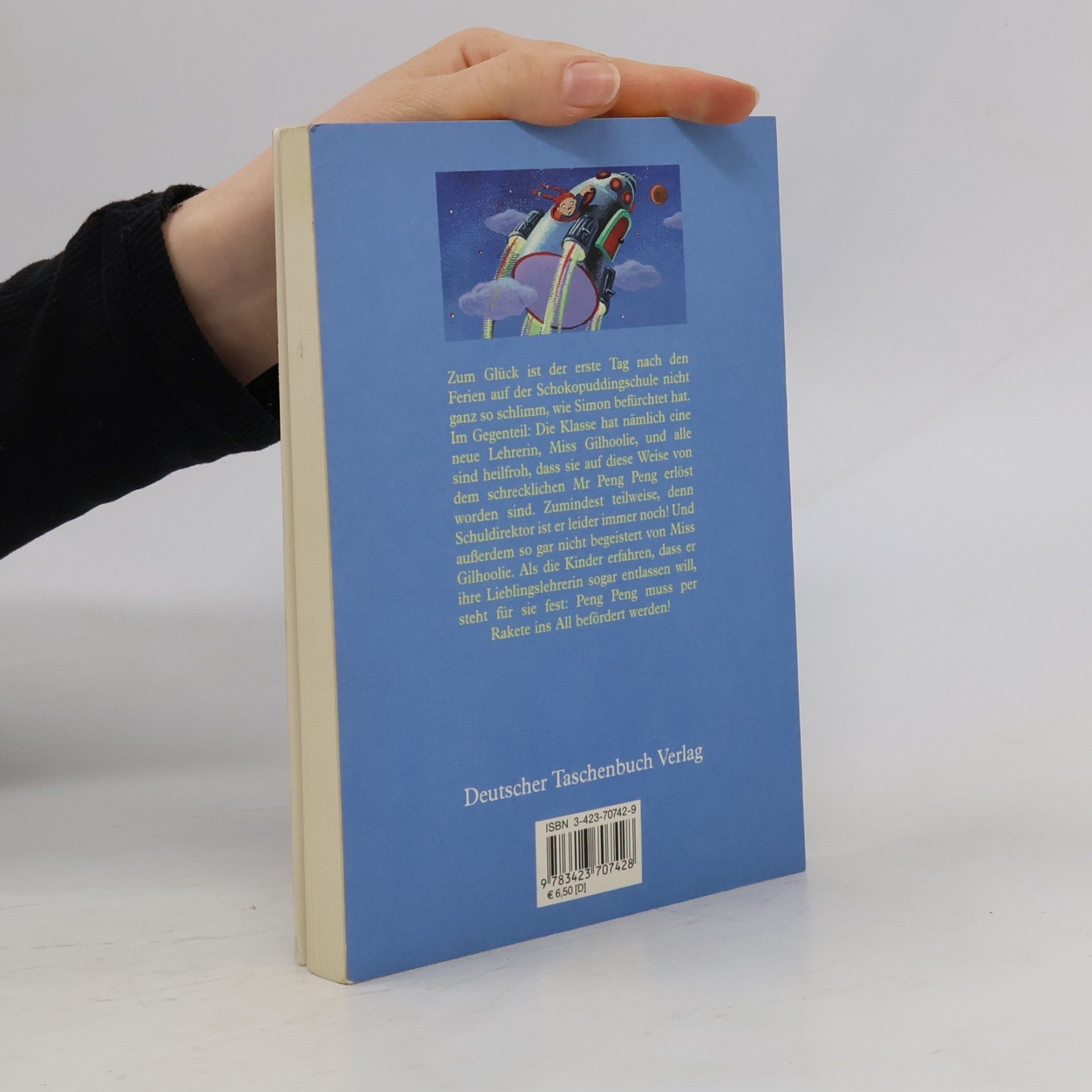 Hilary McKay Schokopuddingschule, Der Geburtstagswunsch