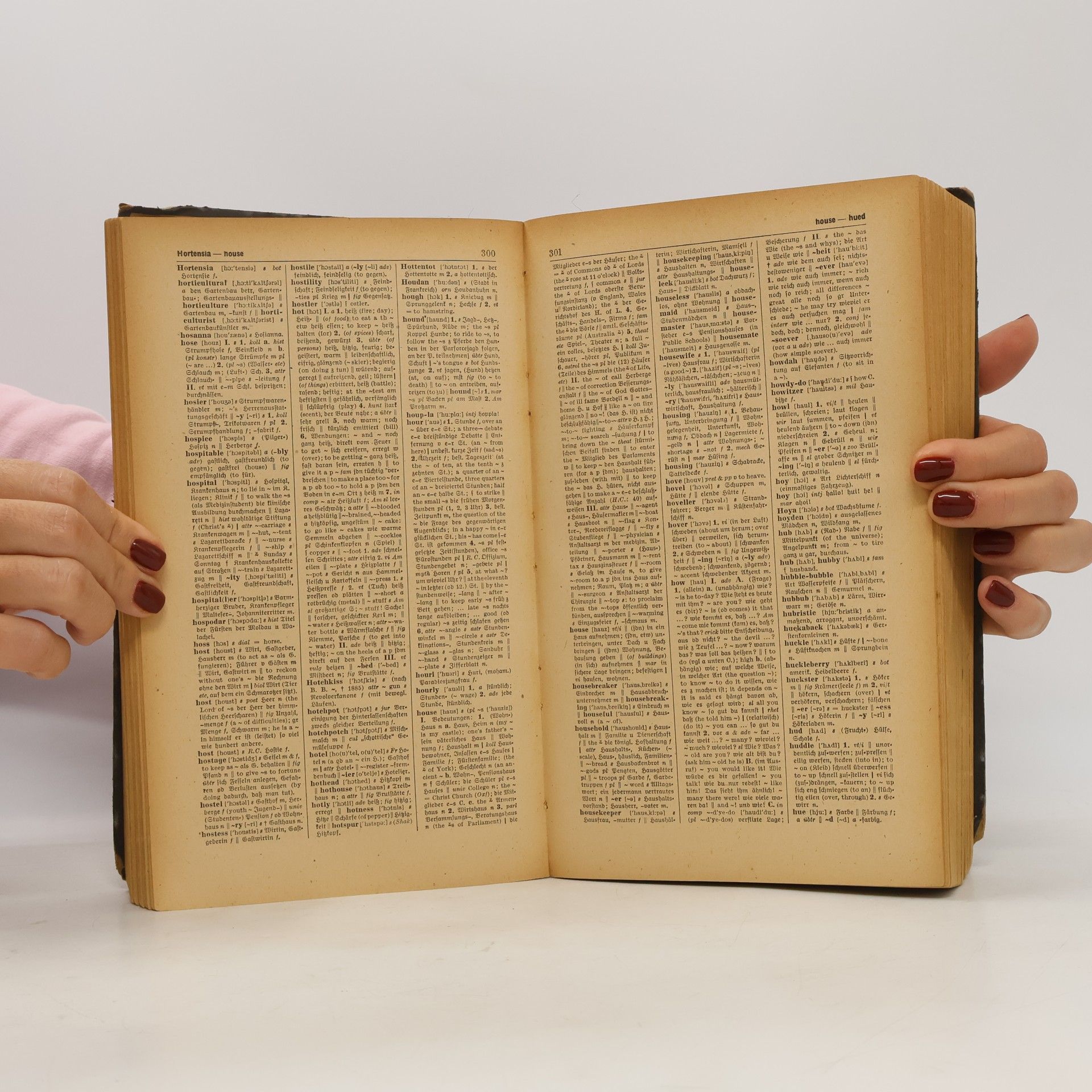 Karl Wildhagen Englisch-Deutsches Deutsch-Englisches Wörterbuch – Band I: Englisch-Deutsch. English-German German-English Dictionary – Volume I: English-German