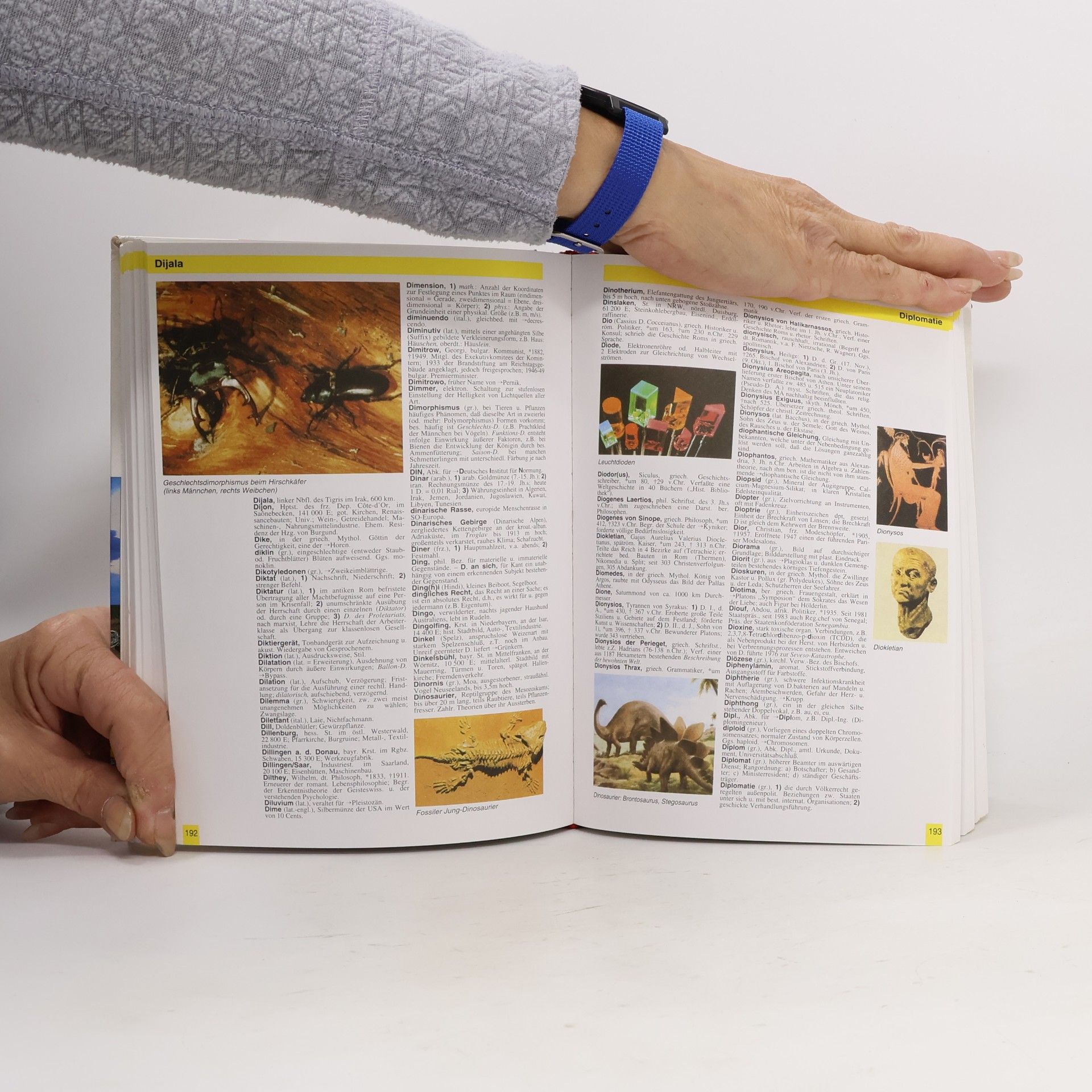 Autorenkollektiv Neues Universal Lexikon in Farbe 1