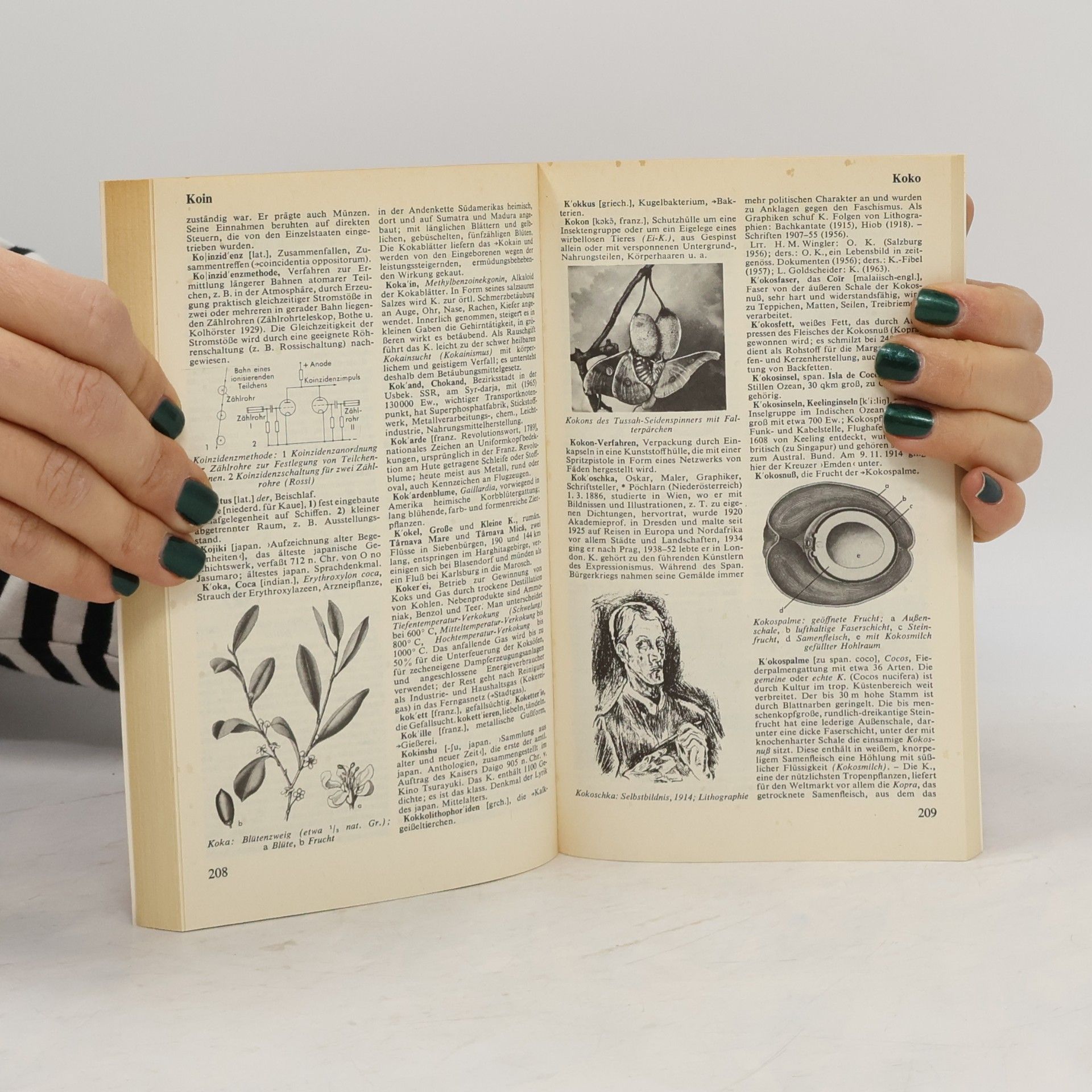 Autorenkollektiv dtv - Lexikon 10 Kako-Kre