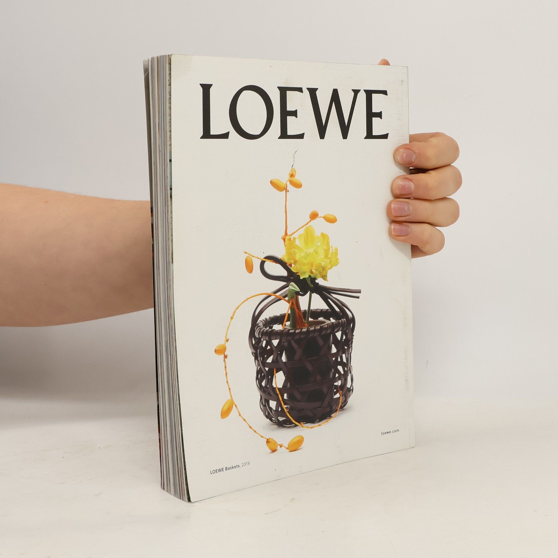 Kolektiv autorů Apartamento 23/2019