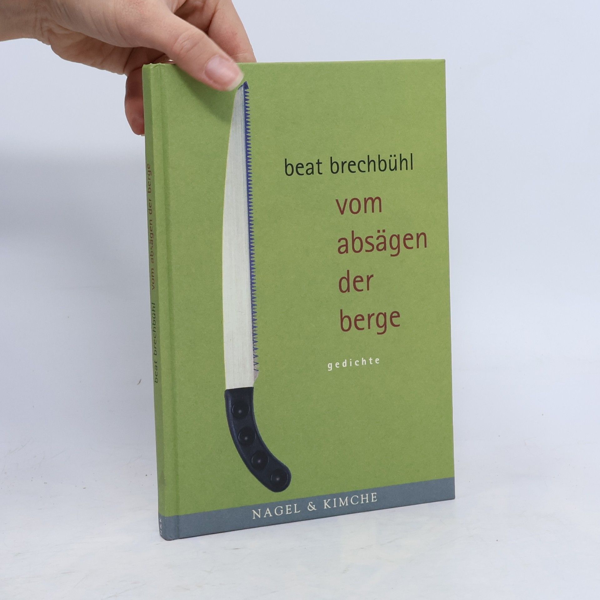 Beat Brechbühl Vom Absägen der Berge. Gedichte