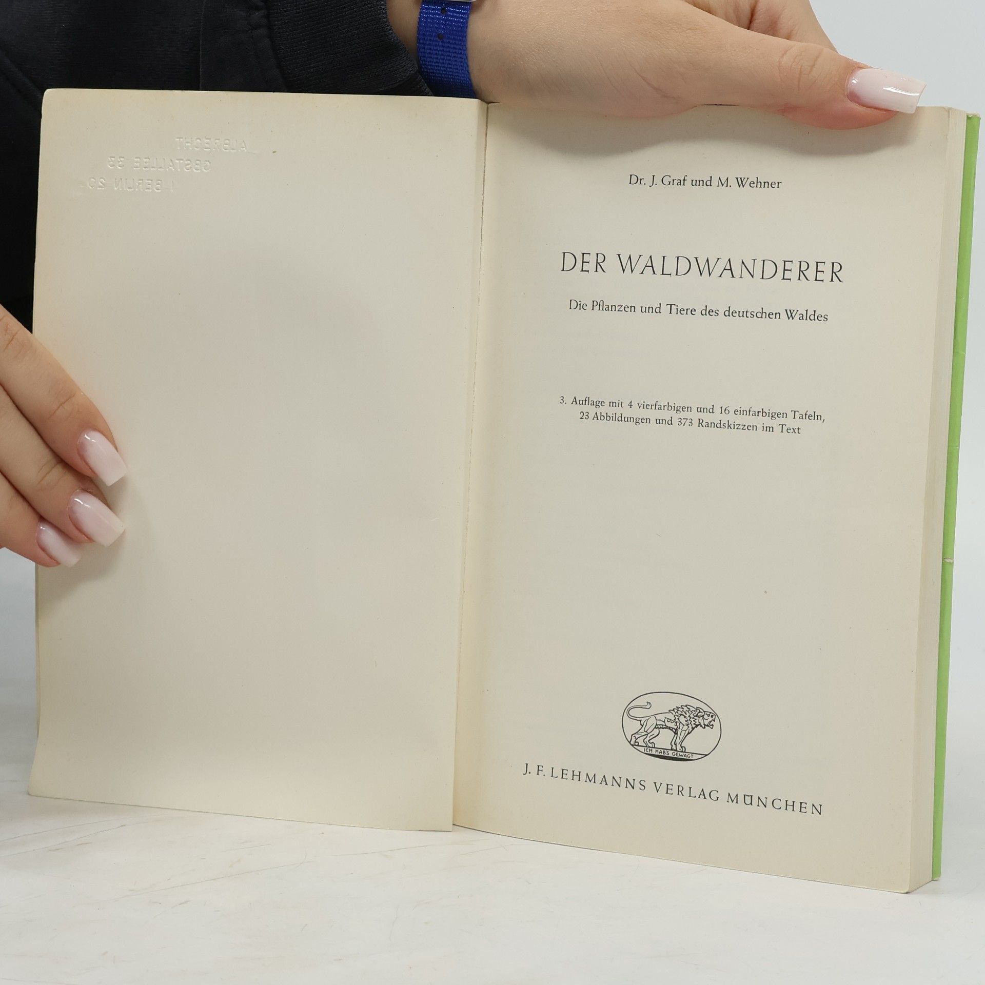 Jakob Graf Der Waldwanderer