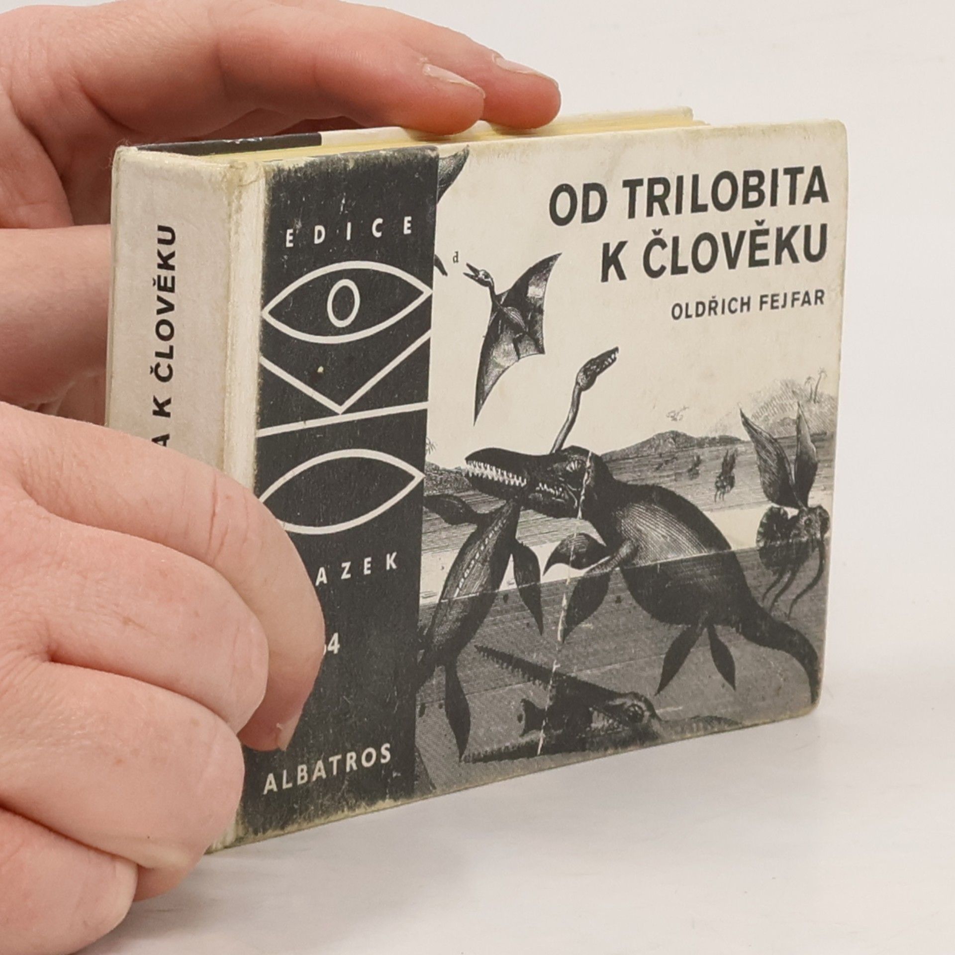 Od trilobita k člověku
