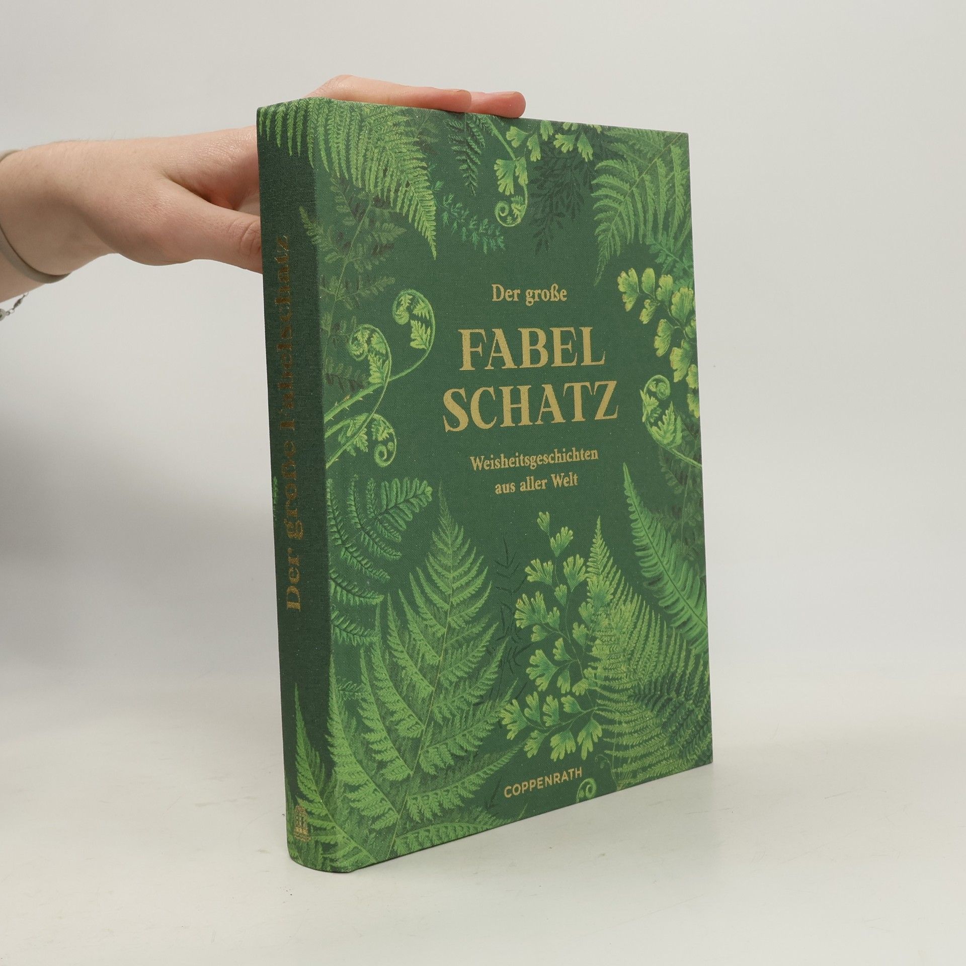 Autorenkollektiv Der große Fabelschatz. Weisheitsgeschichten aus aller Welt