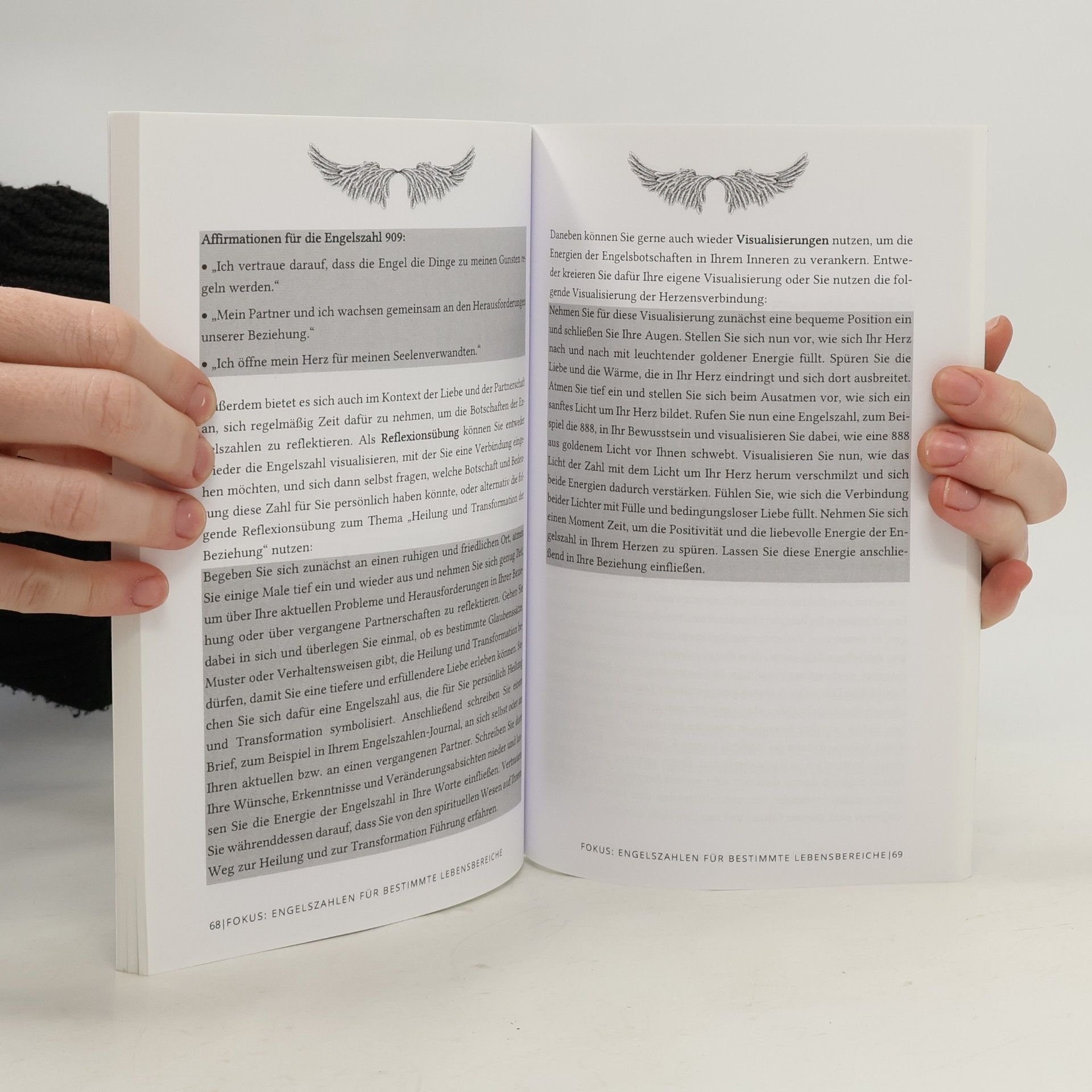 Sophia Perlich Das Handbuch der Engelszahlen: Der Komplettleitfaden zur praktischen Anwendung der Engelszahlen für ein geschärftes Bewusstsein,