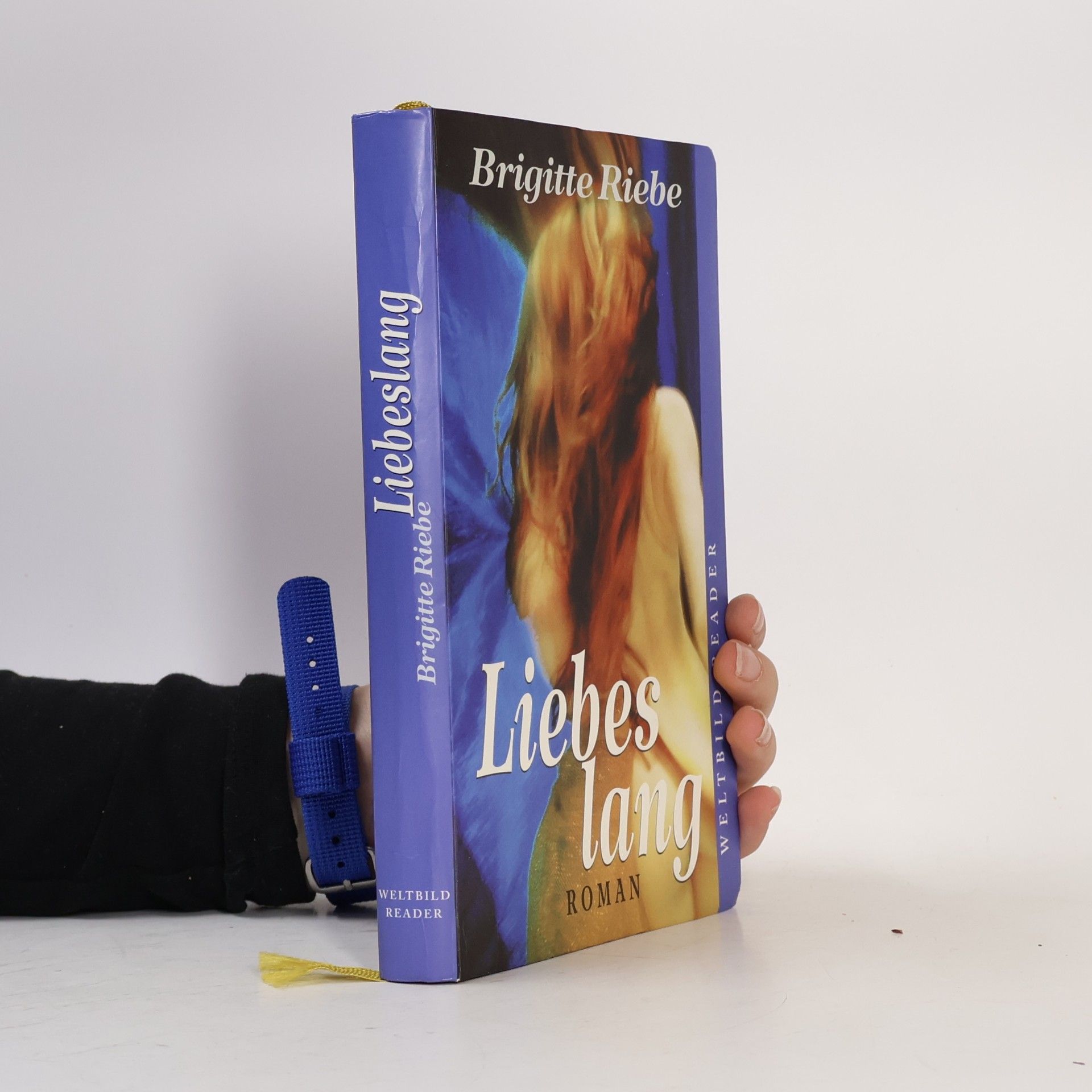 Brigitte Riebe Liebeslang