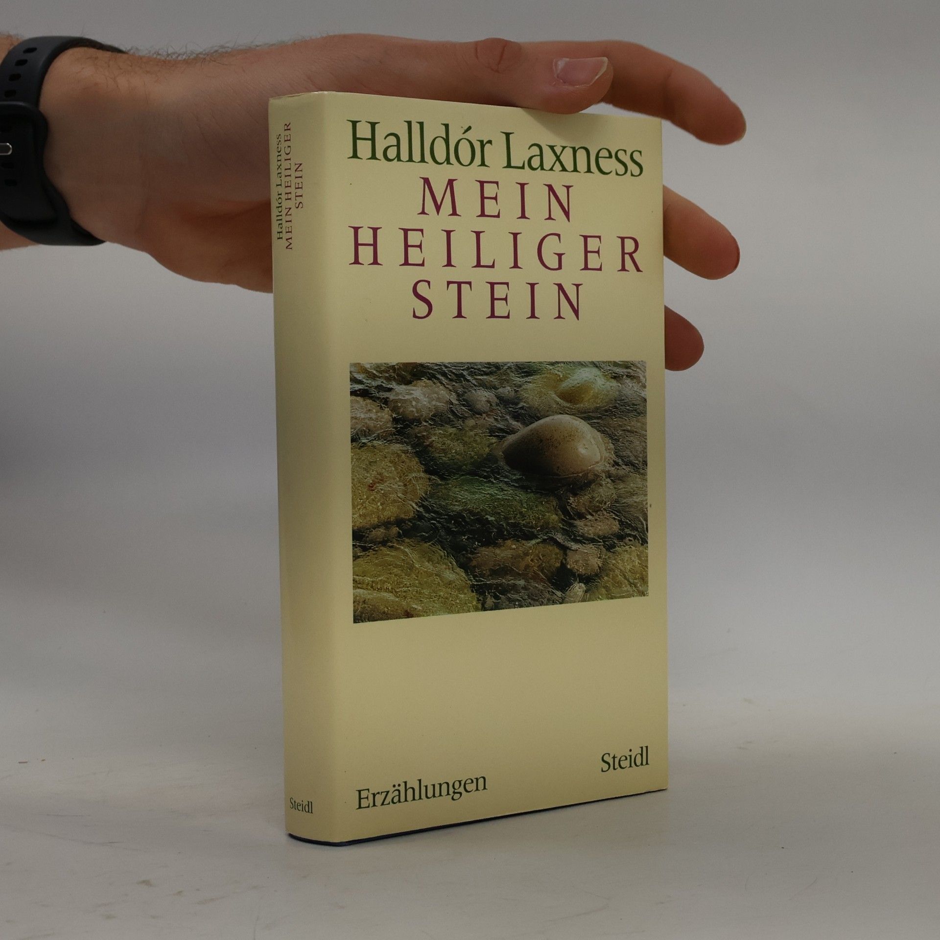 Halldór Laxness Mein heiliger Stein. Erzählungen
