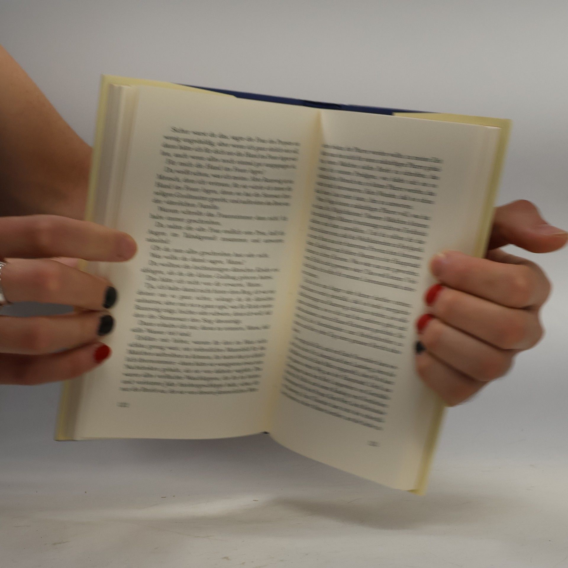 Halldór Laxness Mein heiliger Stein. Erzählungen
