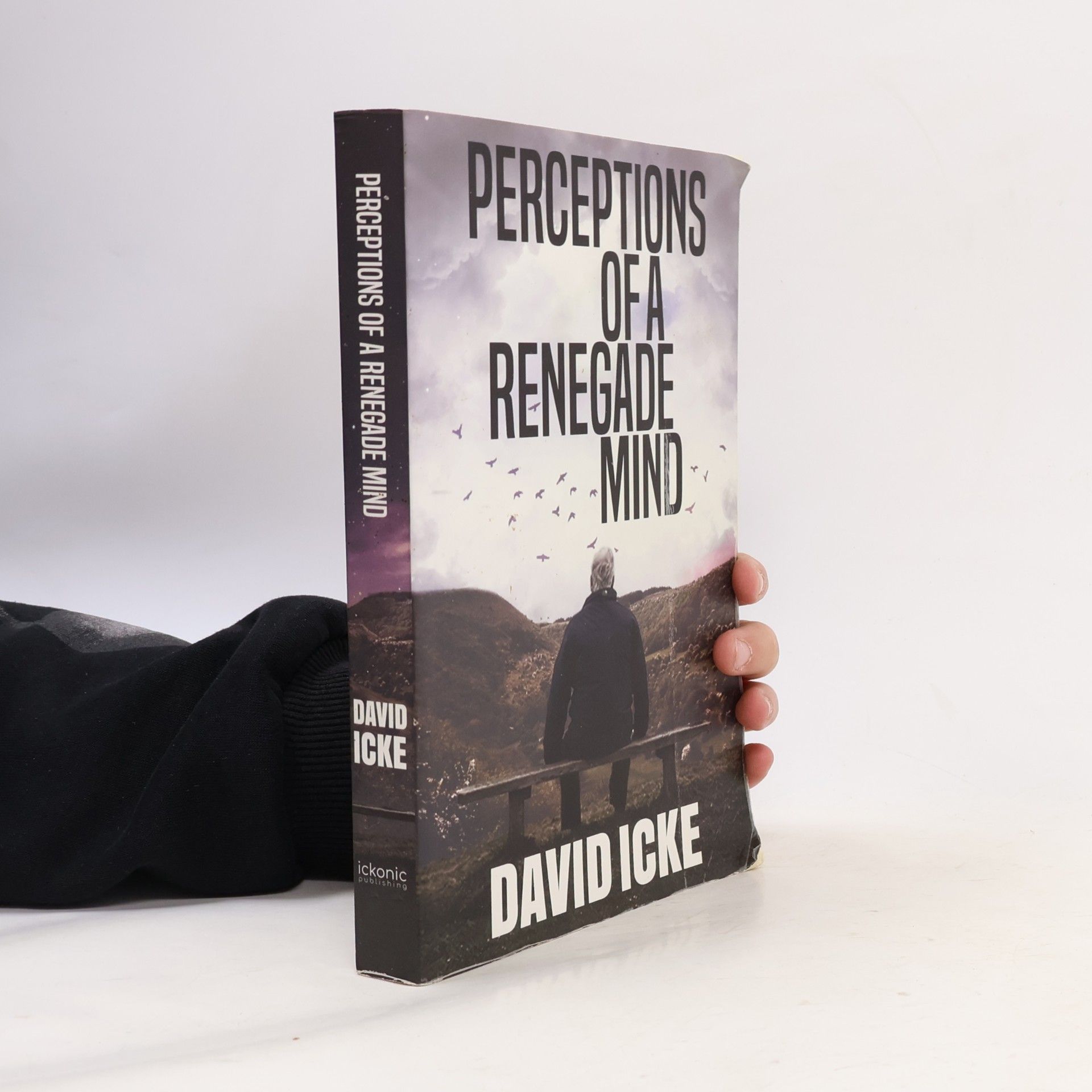 Perceptions Of A Renegade Mind