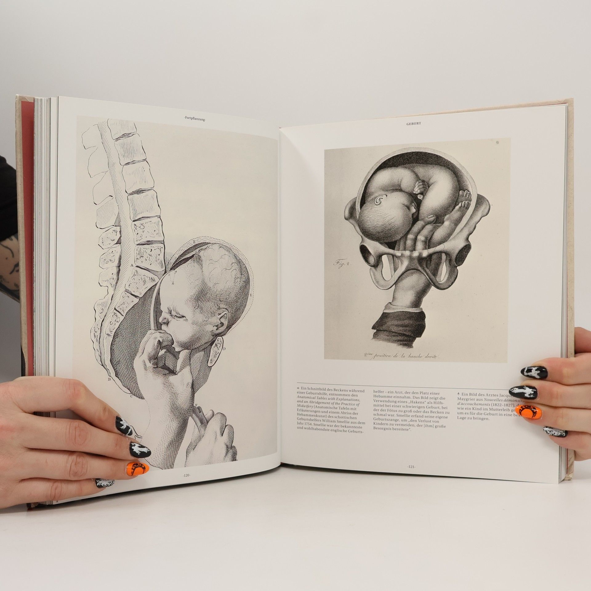 Joanna Ebenstein Ars Anatomica.