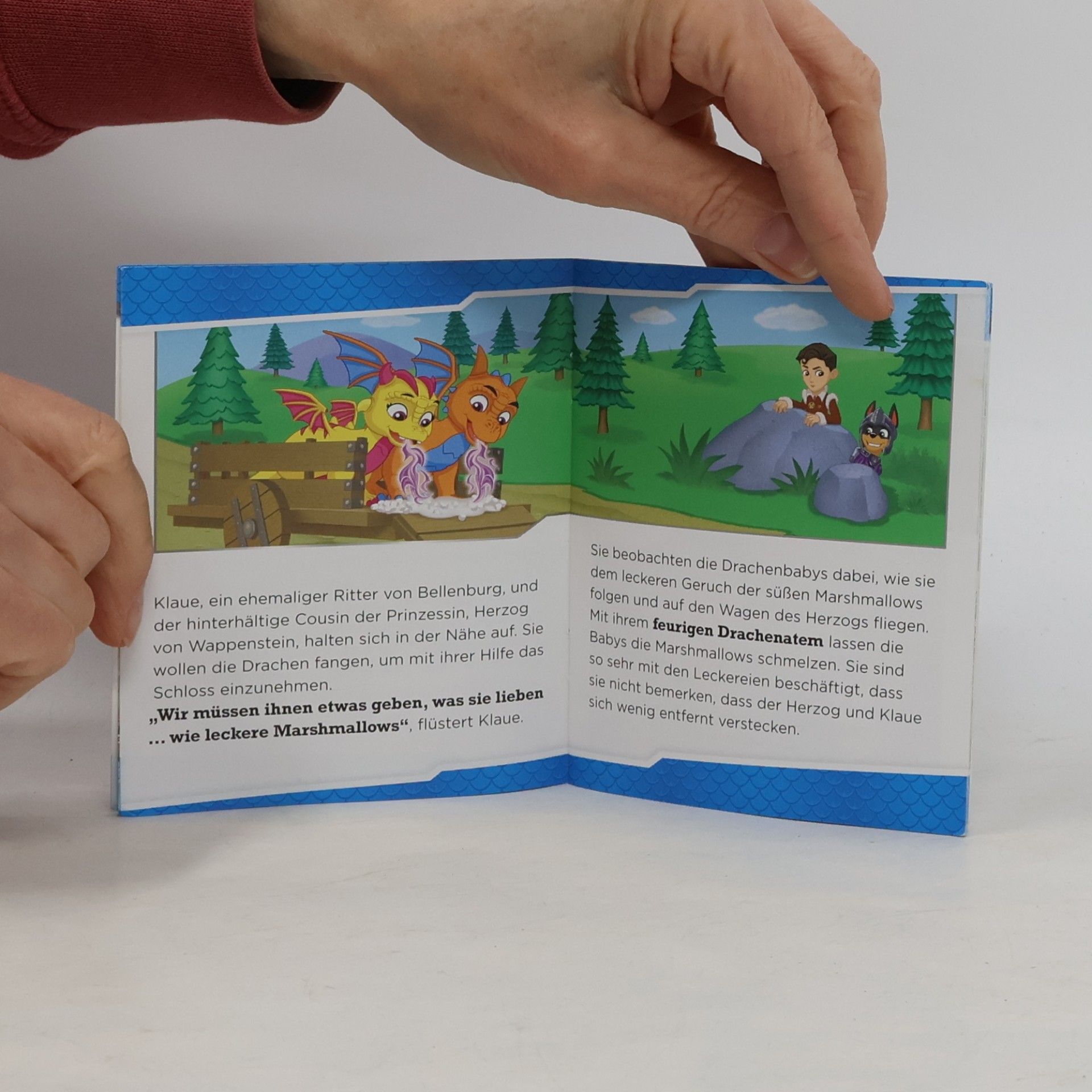 Autorenkollektiv Mutige Drachenrettung