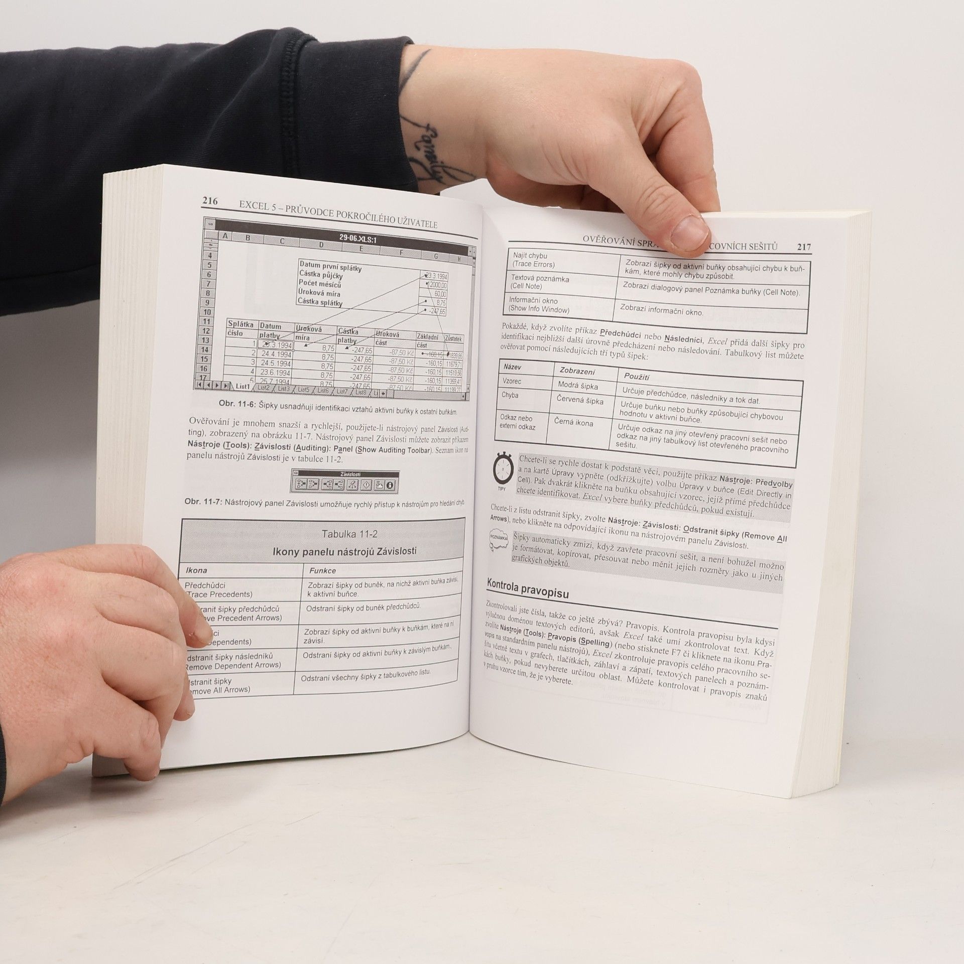 Václav Losík Excel 5.0 : podrobný průvodce zkušeného uživatele