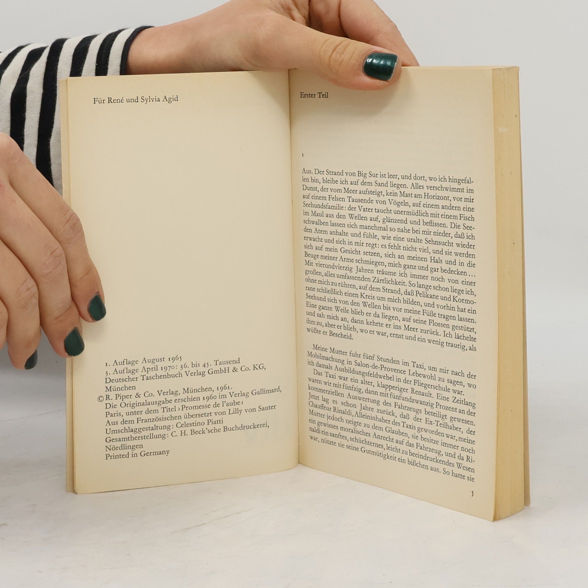 Romain Gary Erste Liebe- letzte Liebe