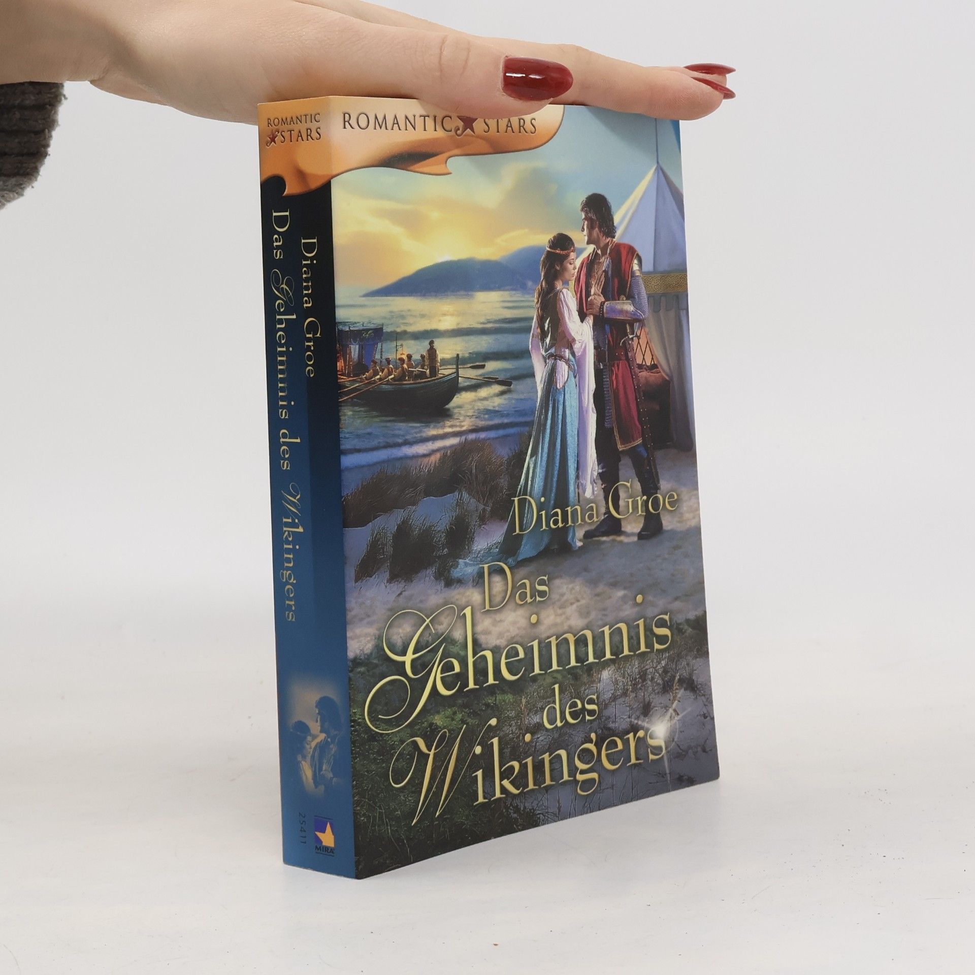 Das Geheimnis des Wikingers