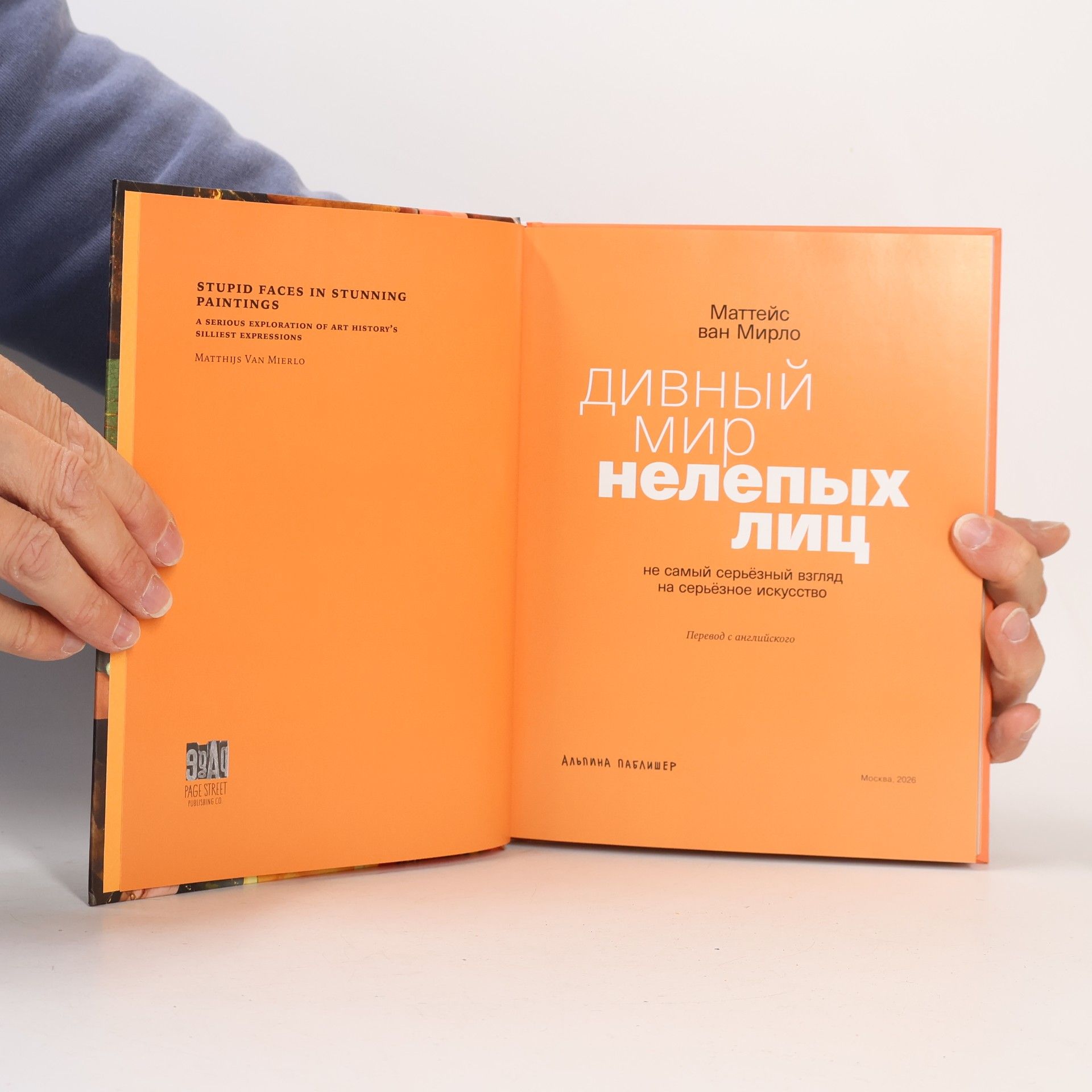Маттейс ван Мирло Дивный мир нелепых лиц