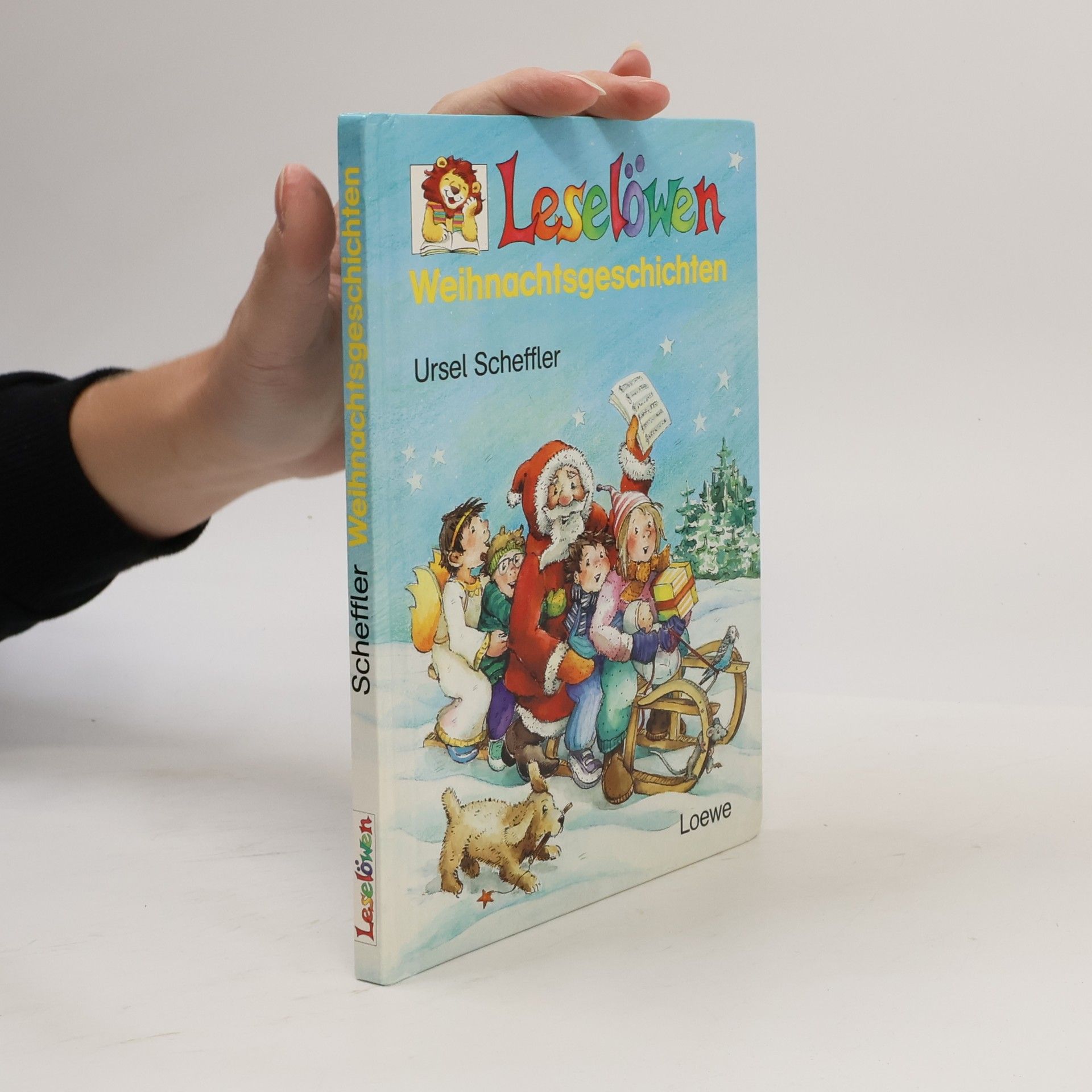 Leselöwen-Weihnachtsgeschichten