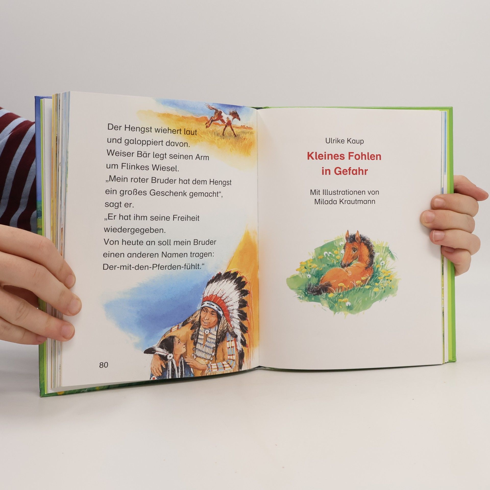 Lesespaß mit dem Bücherbär - die schönsten Pferdegeschichten