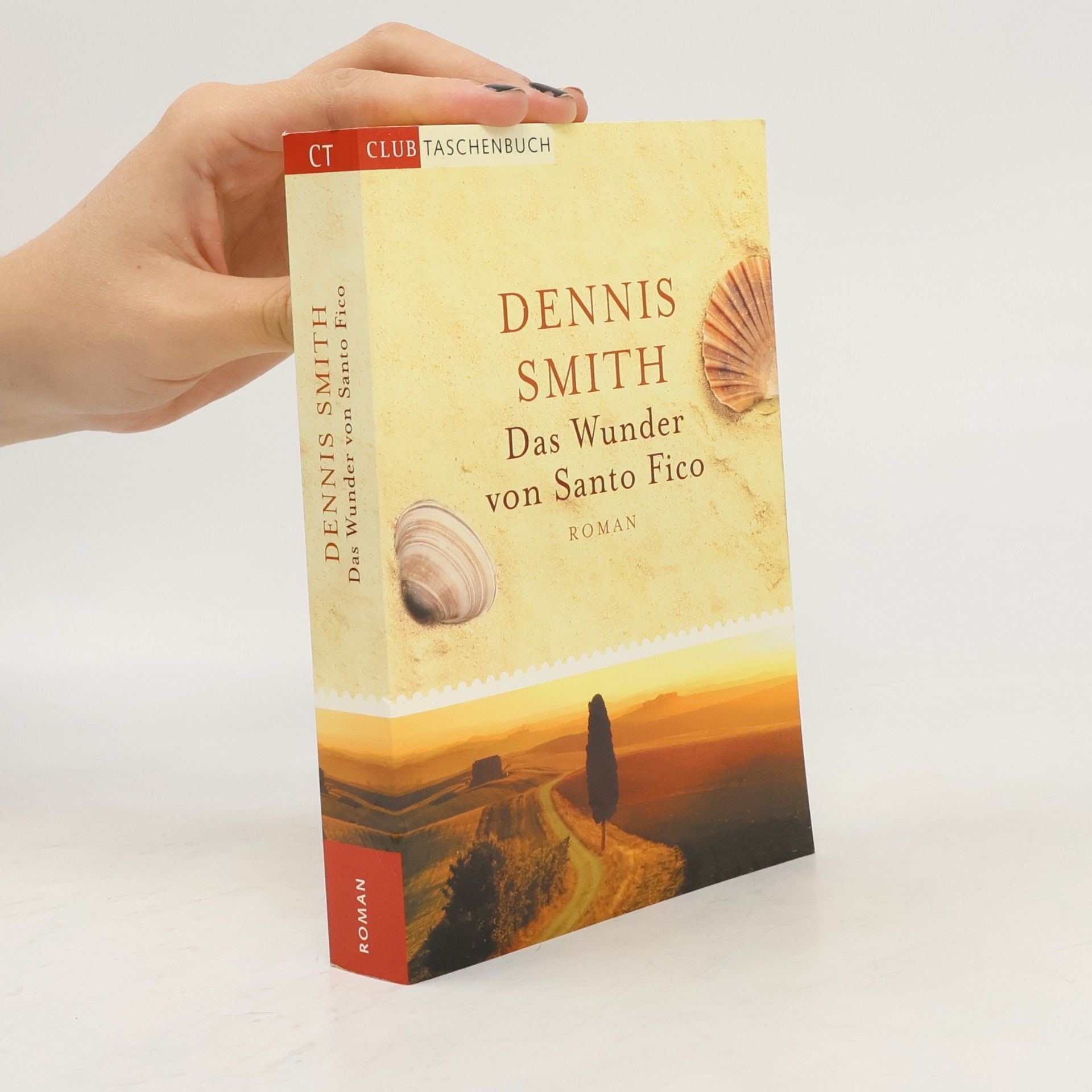 Dennis Smith Das Wunder von Santo Fico