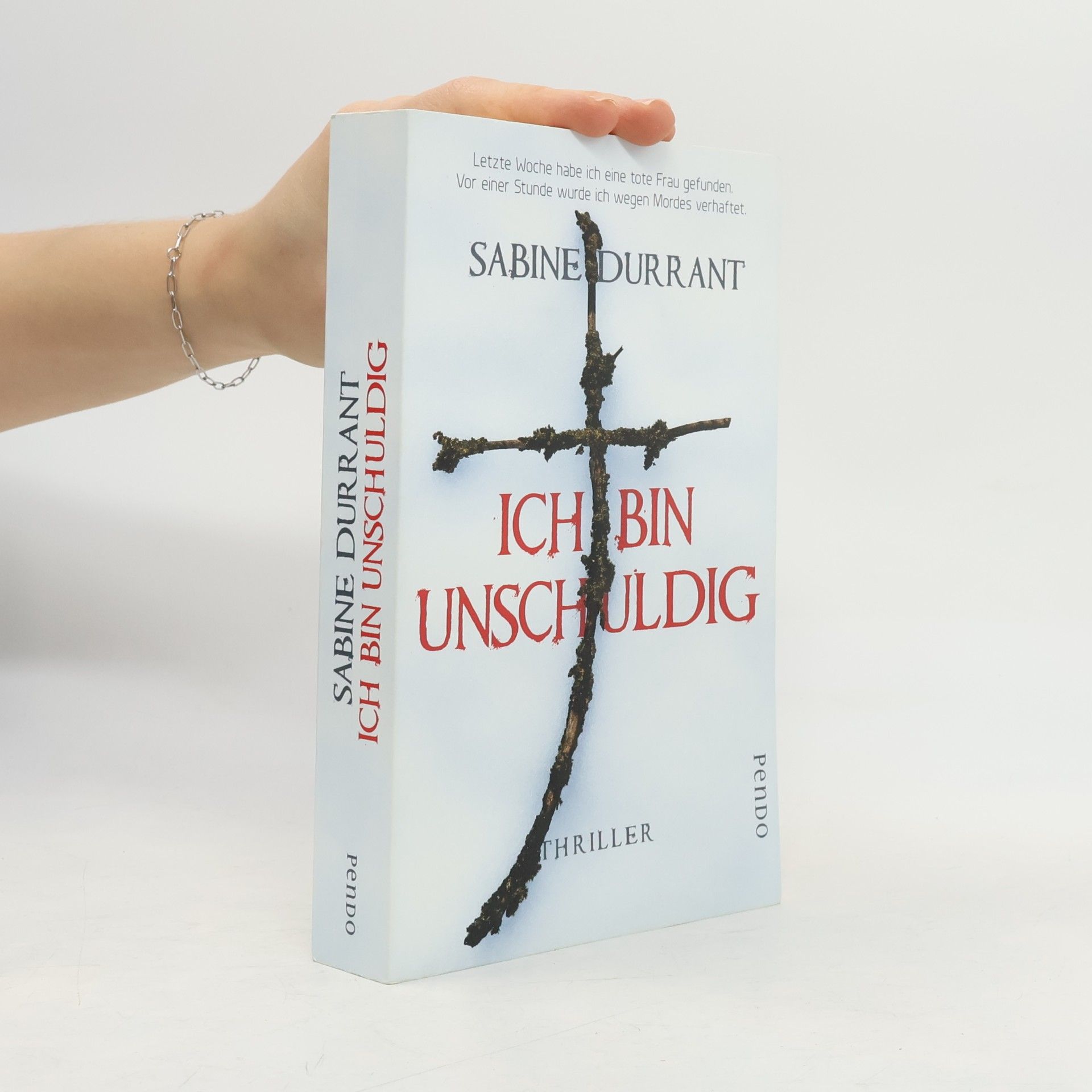 Sabine Durrant Ich bin unschuldig