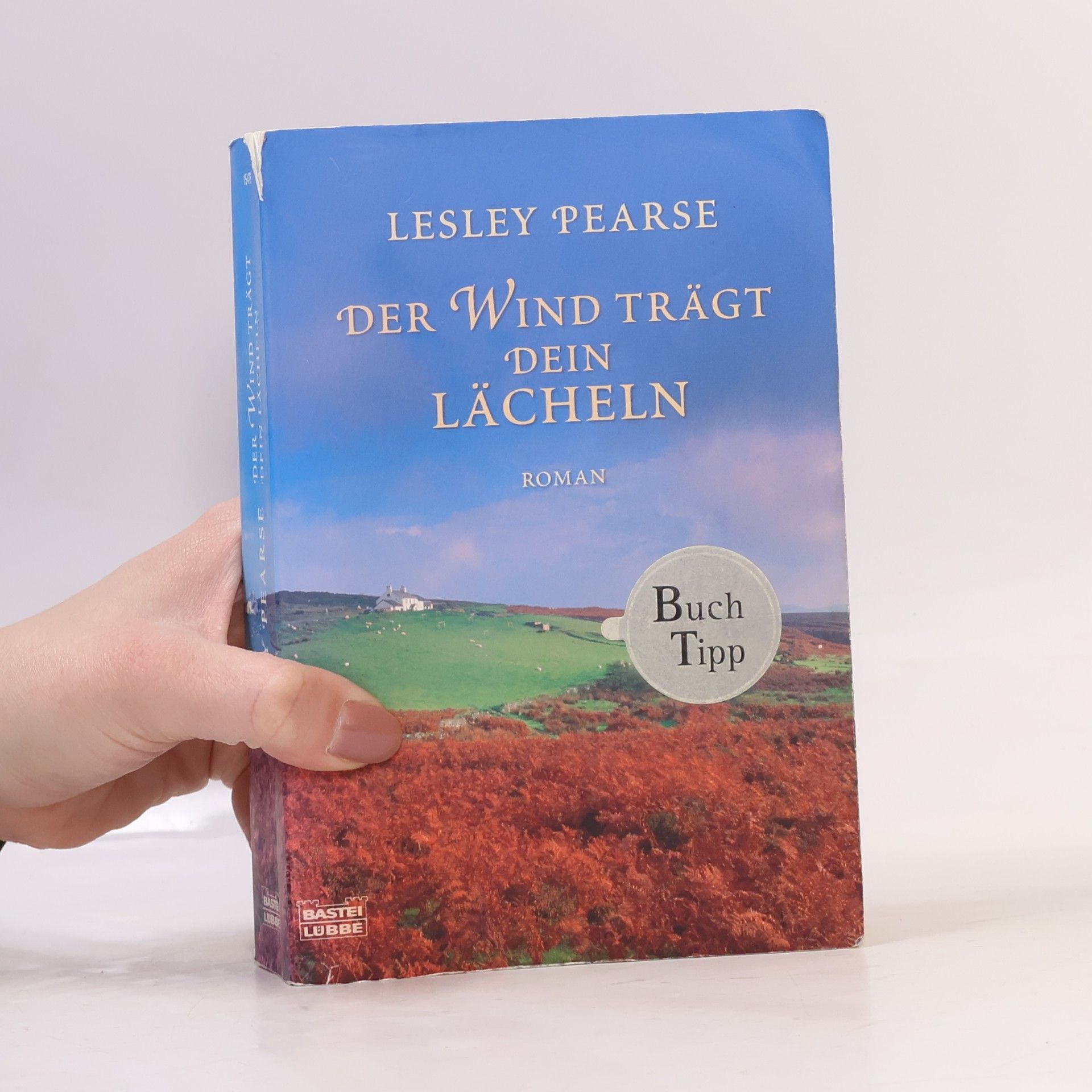 Lesley Pearse Der Wind trägt dein Lächeln