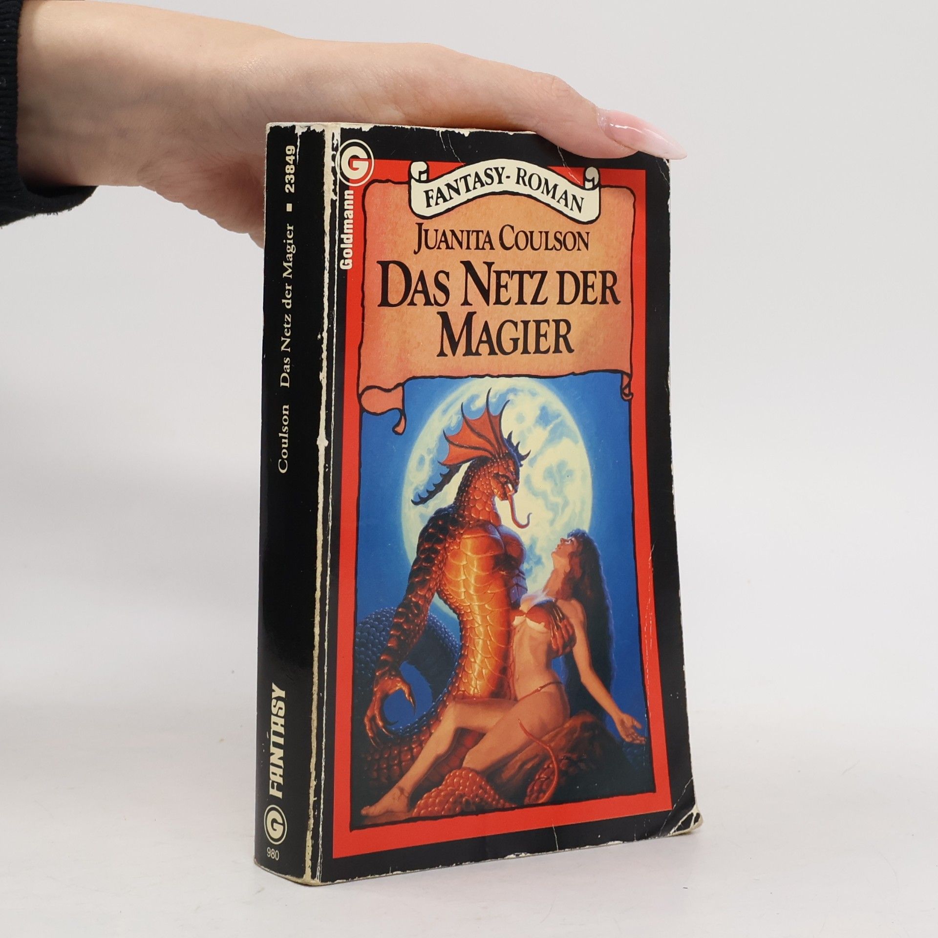 Das Netz der Magier