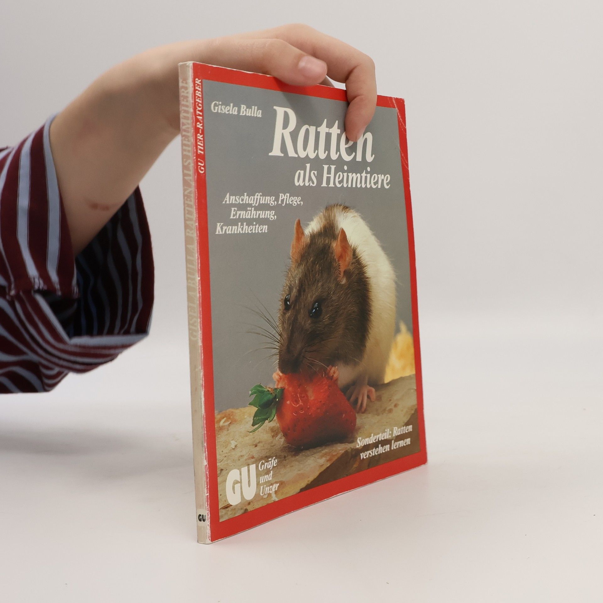 Gisela Bulla Ratten als Heimtiere