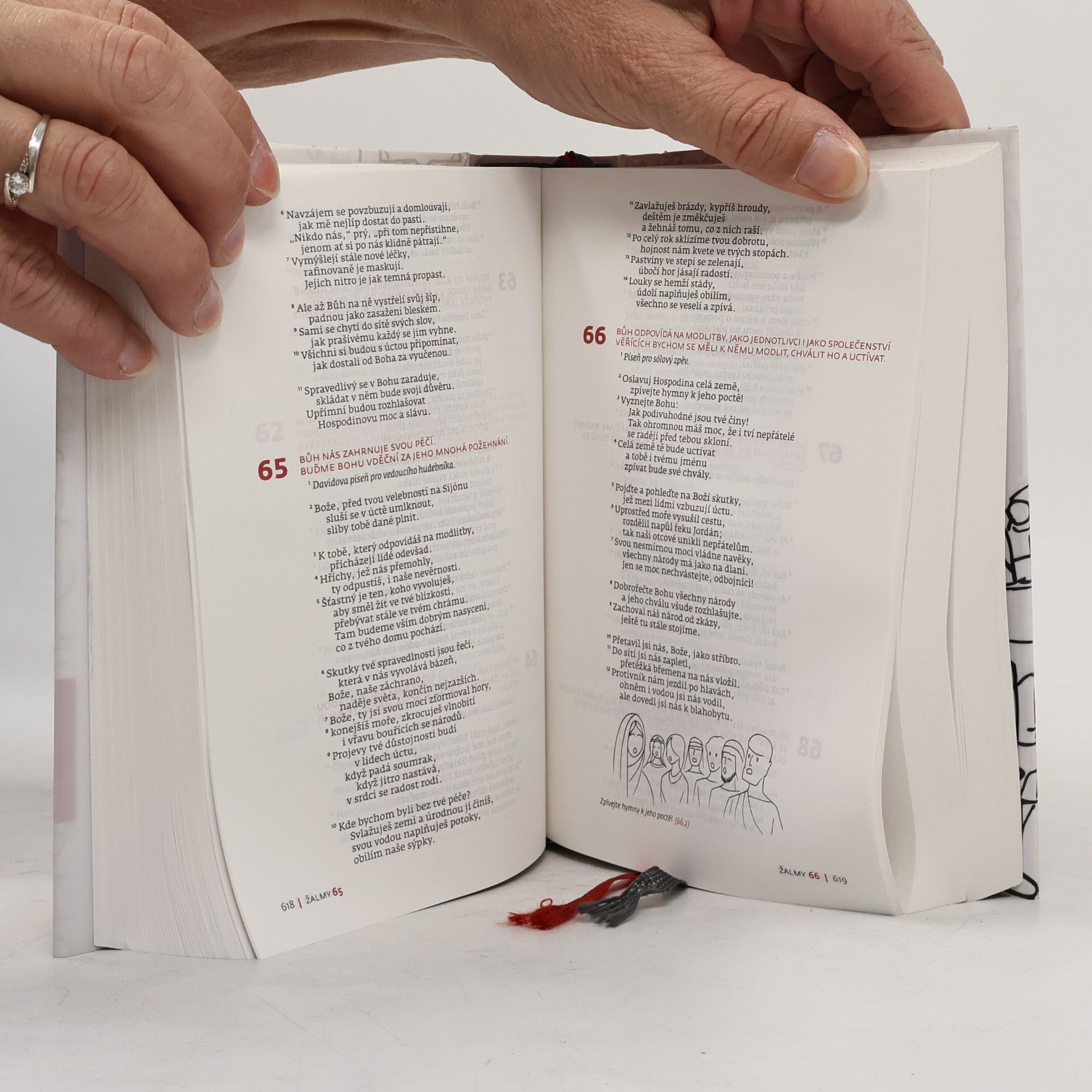 Autorenkollektiv Slovo na cestu : Bible s ilustracemi