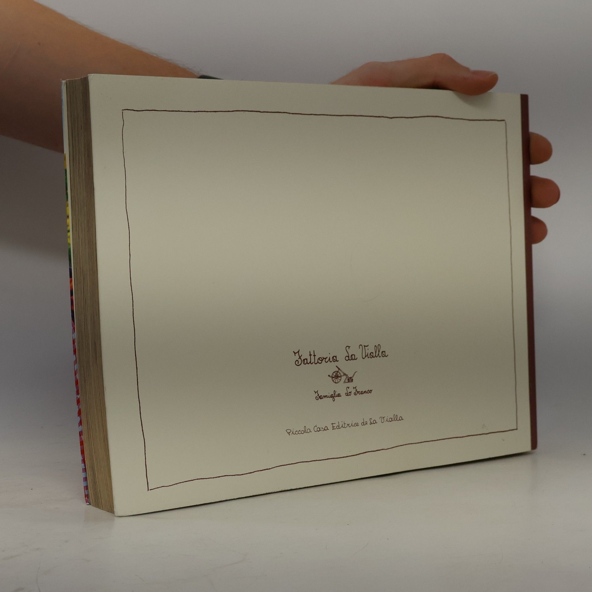 Autorenkollektiv Le ricette della cuoca da la Viola