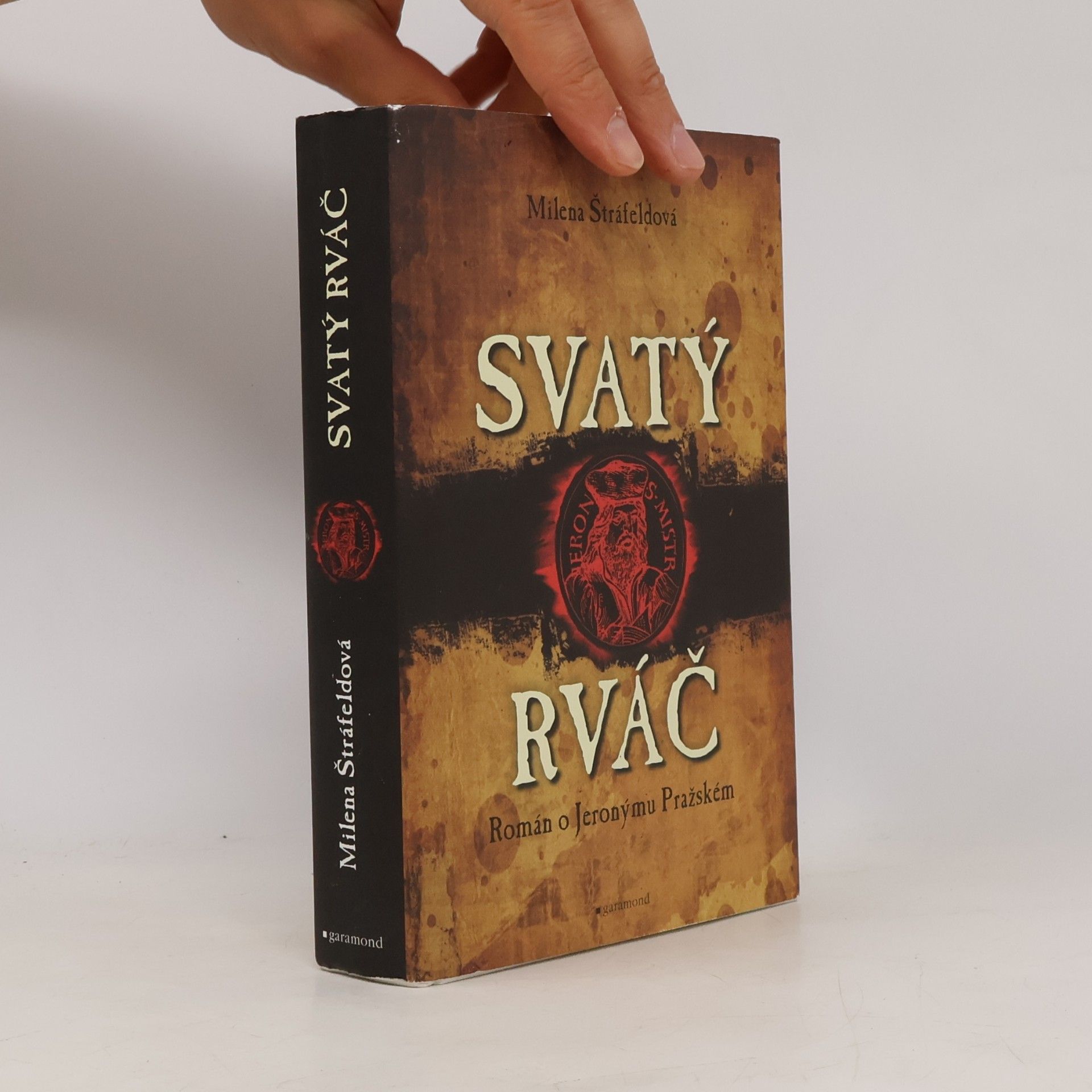 Svatý rváč. Román o Jeronýmu Pražském