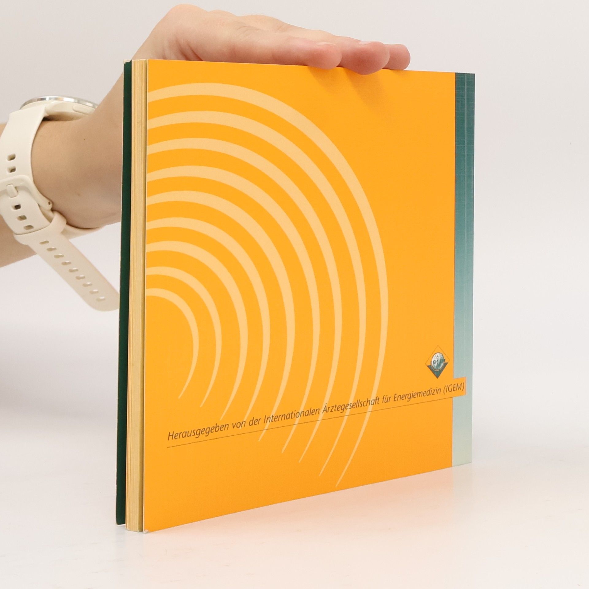 Various authors Leitfaden der MRS-Therapie