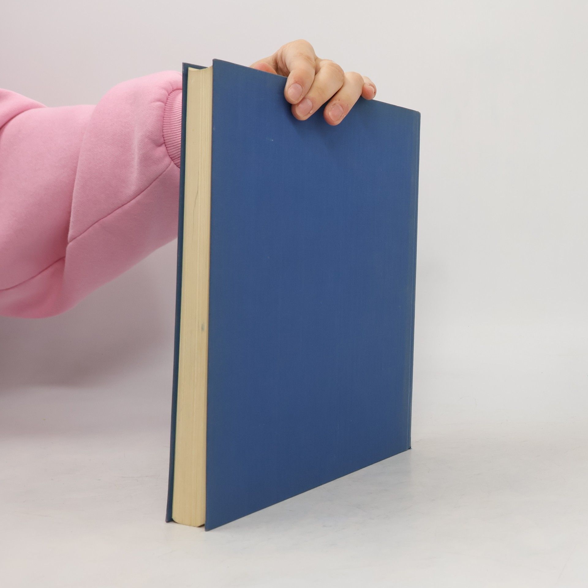 Autorenkollektiv Sammlung Emil G. Bührle