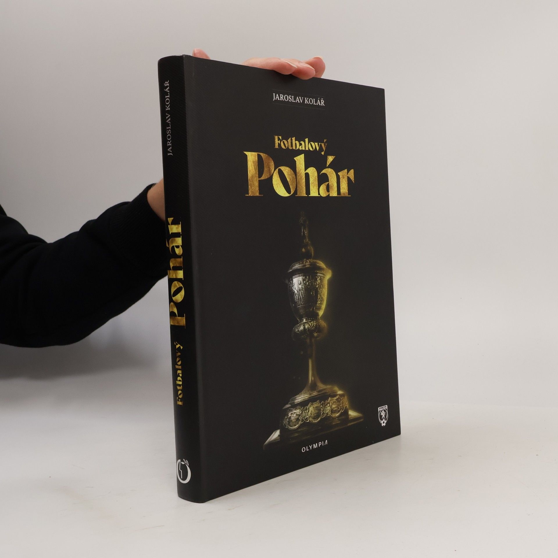 Fotbalový pohár