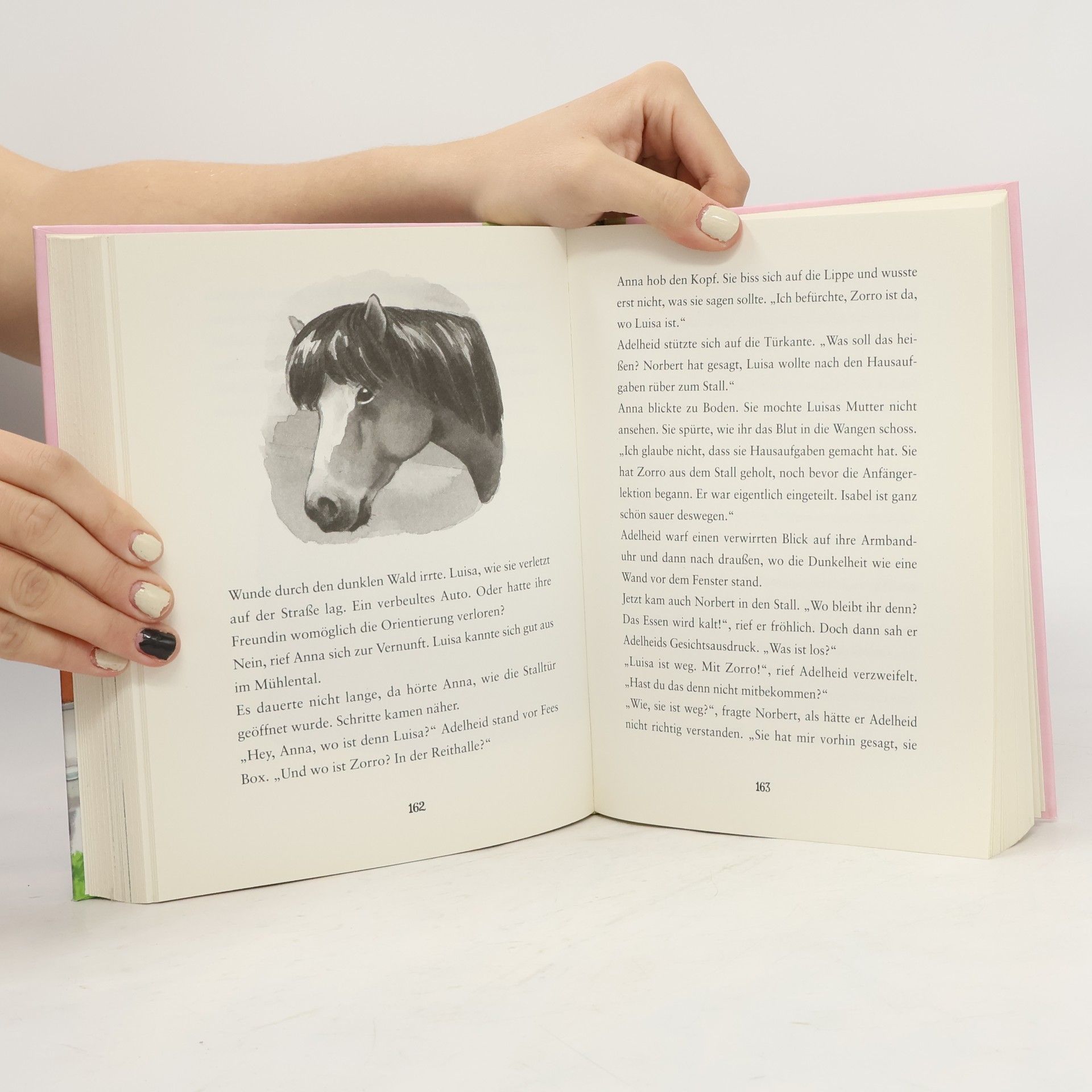 Sarah Bosse Sommergeschichten vom Ponyhof Mühlental
