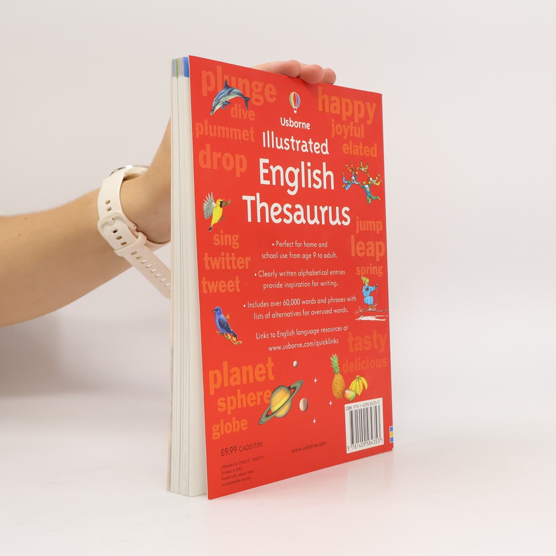 Jane Bingham Usborne Illustrated English Thesaurus