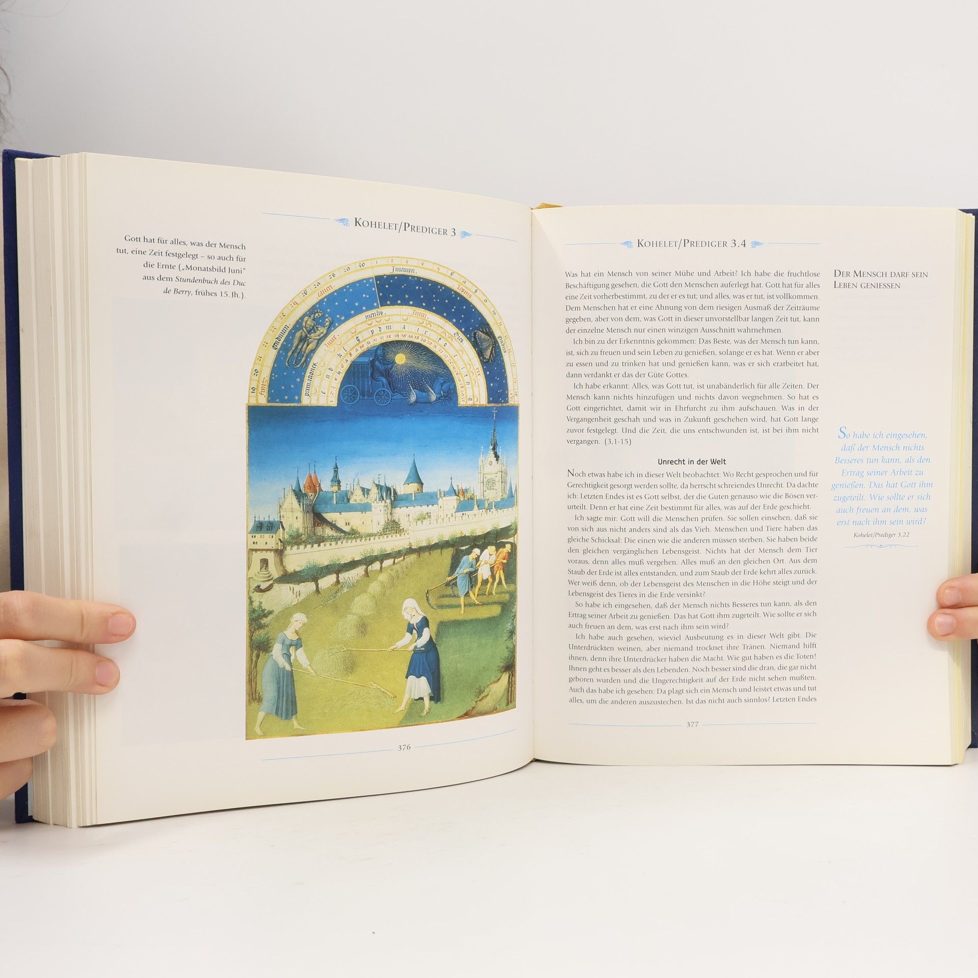 Falko Spiller Die illustrierte Bibel