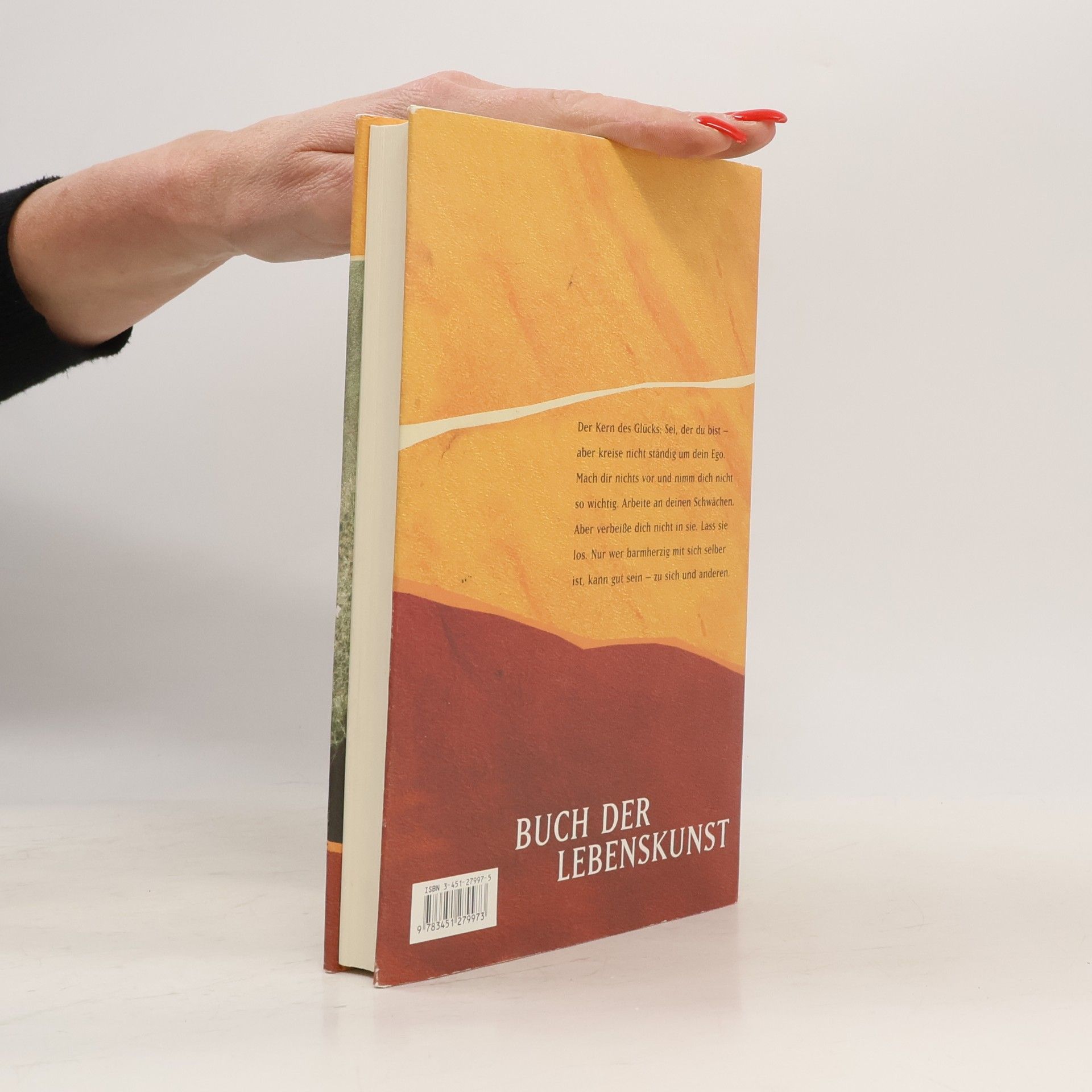 Anselm Grün Buch der Lebenskunst