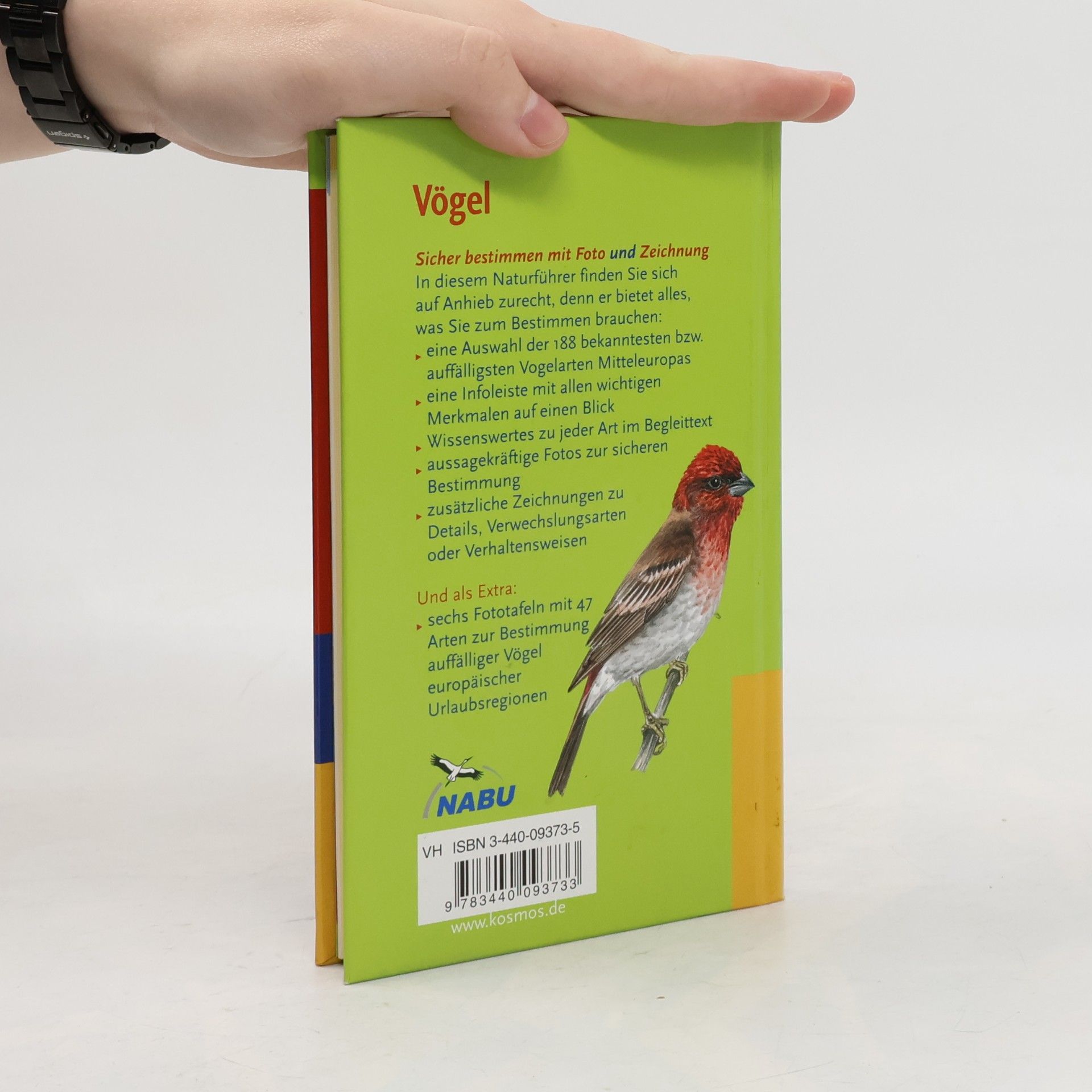 Eckart Pott Vögel