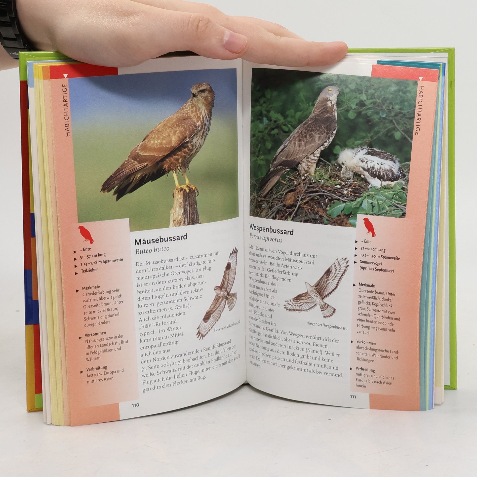 Eckart Pott Vögel