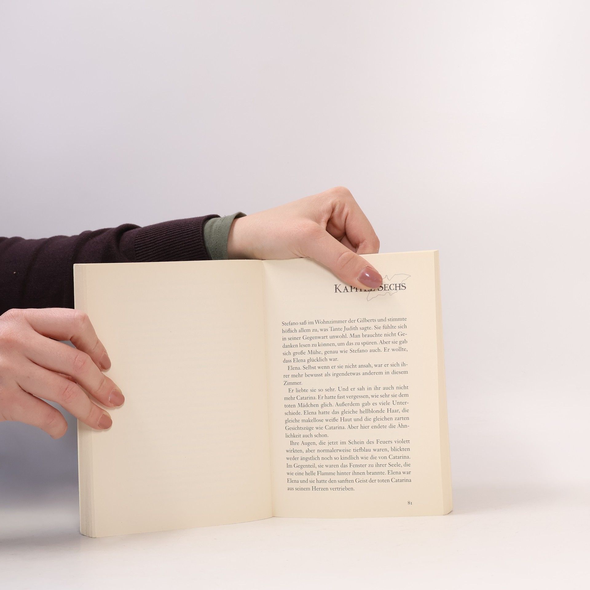 L. J. Smithová  Tagebuch eines Vampirs. Bei Dämmerung