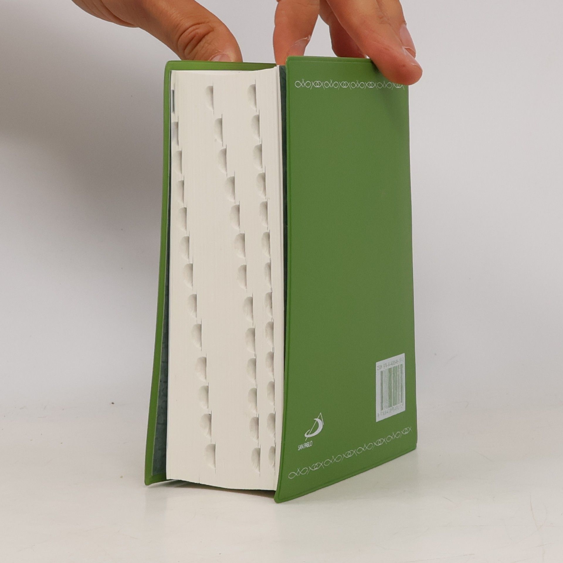Evaristo Martín Nieto La Santa Biblia: tapa plástico