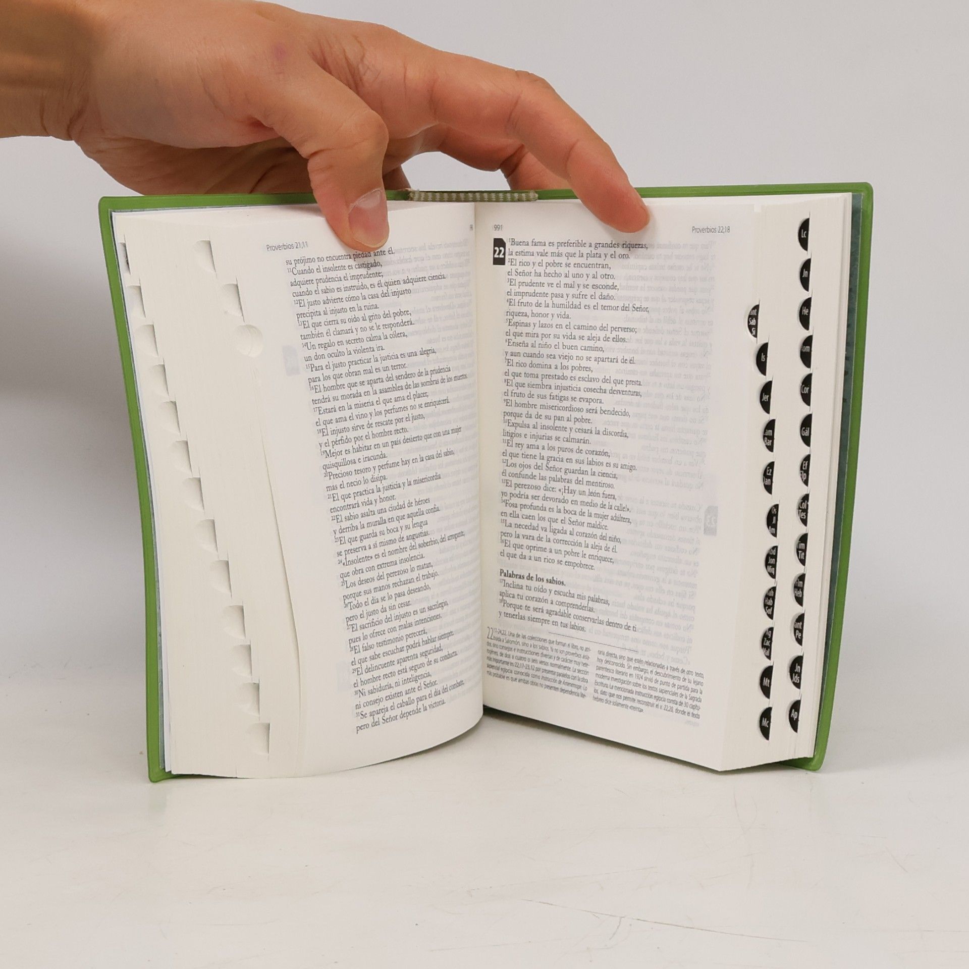 Evaristo Martín Nieto La Santa Biblia: tapa plástico